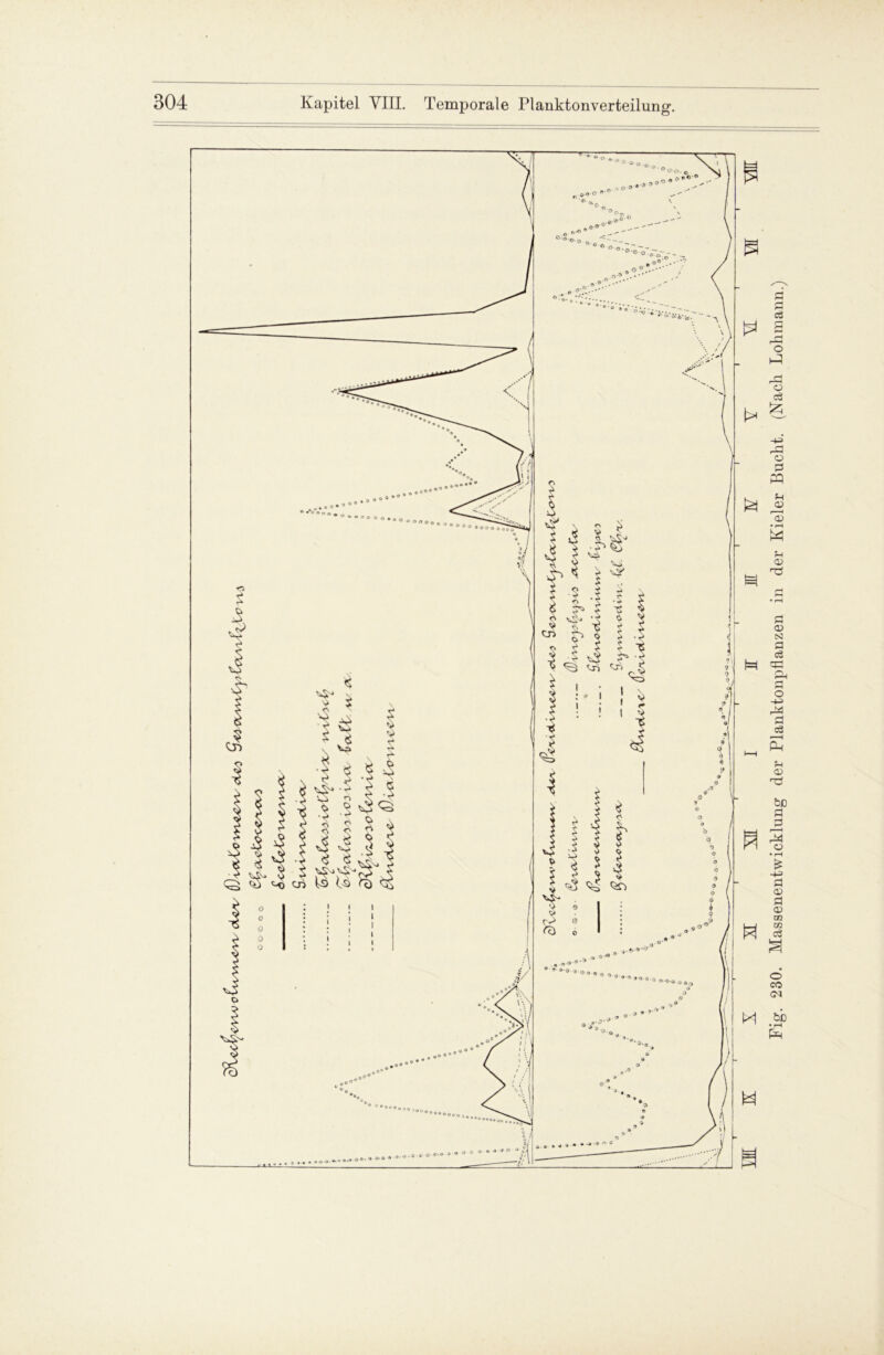 Fig. 230. Massenentwicklung der Planktonpflanzen in der Kieler Bucht. (Nach Lohmann.)