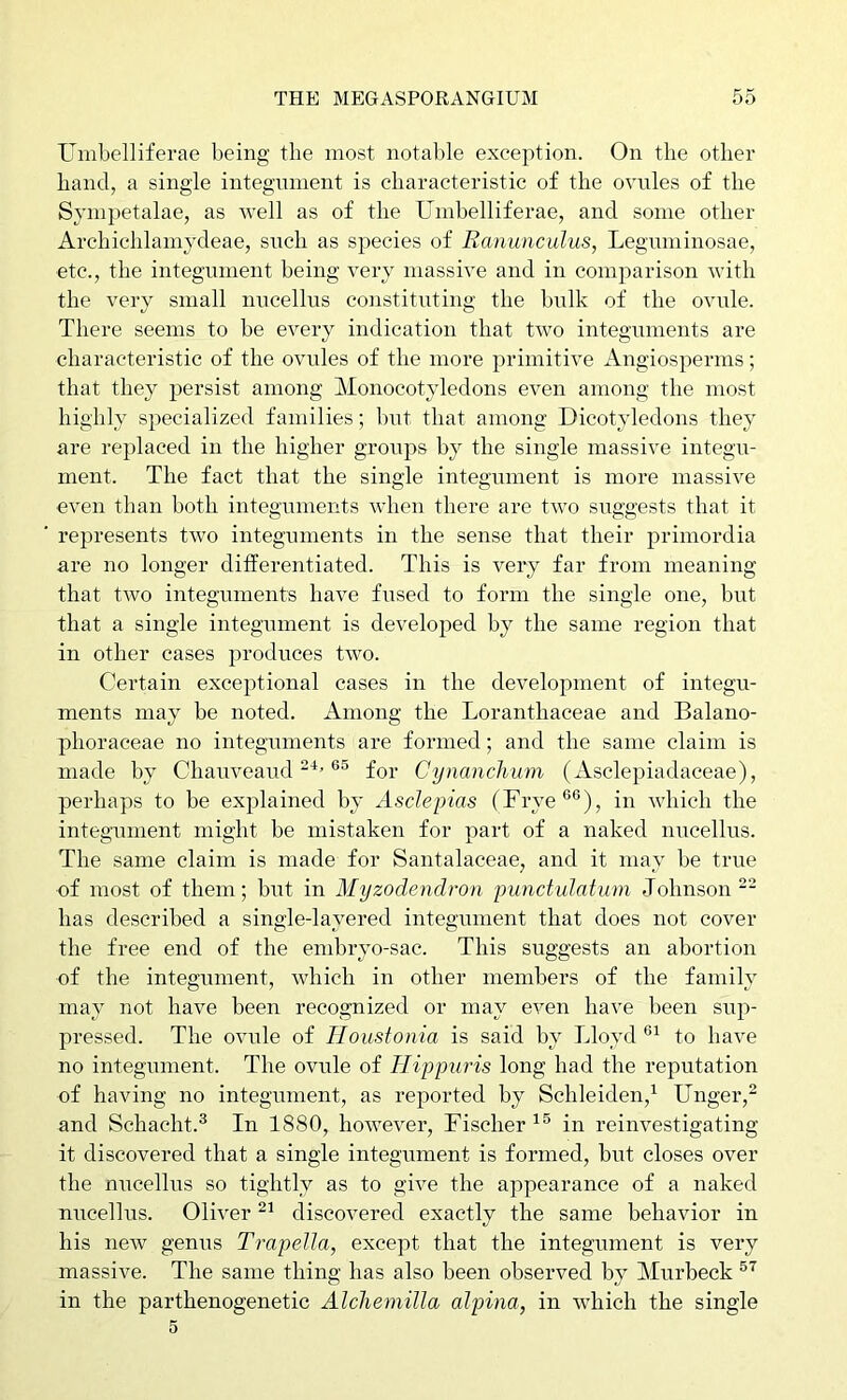 Umbelliferae being the most notable exception. On the other hand, a single integument is characteristic of the ovules of the Svmpetalae, as well as of the Umbelliferae, and some other Archichlamydeae, such as species of Ranunculus, Leguminosae, etc., the integument being very massive and in comparison with the very small nncellus constituting the bulk of the ovule. There seems to be every indication that two integuments are characteristic of the ovules of the more primitive Angiosperms; that they persist among Monocotyledons even among the most highly specialized families; but that among Dicotyledons they are replaced in the higher groups by the single massive integu- ment. The fact that the single integument is more massive even than both integuments when there are two suggests that it represents two integuments in the sense that their primordia are no longer differentiated. This is very far from meaning that two integuments have fused to form the single one, but that a single integument is developed by the same region that in other cases produces two. Certain exceptional cases in the development of integu- ments may be noted. Among the Loranthaceae and Balauo- phoraceae no integuments are formed; and the same claim is made by Chauveaud for Cynanchum (Asclepiadaceae), perhaps to be explained by Asclepias (Frye®®), in which the integument might be mistaken for part of a naked nncellus. The same claim is made for Santalaceae, and it may be true of most of them; but in Myzodendron punctuJatum Johnson” has described a single-layered integument that does not cover the free end of the embryo-sac. This suggests an abortion of the integument, which in other members of the family may not have been recognized or may even have been sup- pressed. The ovule of Houstonia is said by Lloyd ®^ to have no integument. The ovule of Ilippuris long had the reputation of having no integument, as reported by Schleiden,^ Unger, and Schacht.® In 1880, however, Fischer in reinvestigating it discovered that a single integument is formed, but closes over the nucellus so tightly as to give the appearance of a naked nncellus. Oliver discovered exactly the same behavior in his new genus Trapella, except that the integument is very massive. The same thing has also been observed by Murbeck in the parthenogenetic Alcliemilla alpina, in which the single 5