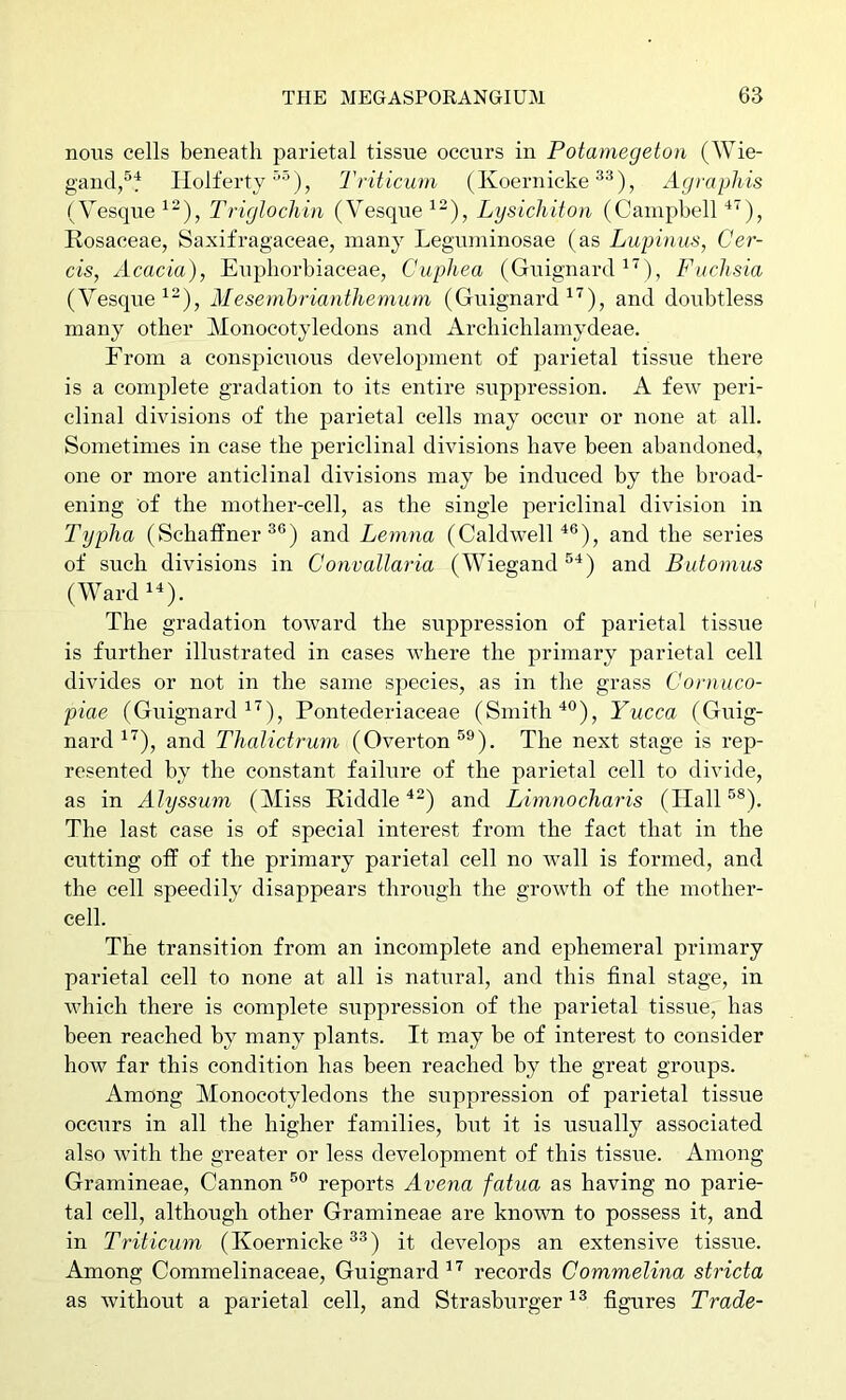 nous cells beneath parietal tissue occurs in Potamegeton (Wie- gandj^t Holferty^®), Triticum (Koernicke Agraphis (Vesque^“), Triglochin (Vesque^'), Lysichiton (Campbell Rosaceae, Saxifragaceae, many Leguminosae (as Lupinus, Cer- cis, Acacia), Eupliorbiaceae, Cuphea (Guignard Fuchsia (Vesque Mesembrianthenium (Guignard and doubtless many other Monocotyledons and Arcliichlamydeae. From a conspicuous development of parietal tissue there is a complete gradation to its entire suppression. A few peri- clinal divisions of the parietal cells may occur or none at all. Sometimes in case the periclinal divisions have been abandoned, one or more anticlinal divisions may be induced by the broad- ening of the mother-cell, as the single periclinal division in Typha (Schaffner and Lemna (Caldwell^®), and the series of such divisions in Convallai’ia (Wiegand and Butomus (Ward^^). The gradation toward the suppression of parietal tissue is further illustrated in cases where the primary parietal cell divides or not in the same species, as in the grass Coniuco- piae (Guignard Pontederiaceae (Smith‘^°), Yucca (Guig- nard and Thalictrum (Overton®^). The next stage is rep- resented by the constant failure of the parietal cell to divide, as in Alyssum (Miss Riddle and Limnocha7'is (Ilall^*). The last case is of special interest from the fact that in the cutting off of the primary parietal cell no wall is formed, and the cell speedily disappears through the growth of the mother- cell. The transition from an incomplete and ephemeral primary parietal cell to none at all is natural, and this final stage, in which there is complete suppression of the parietal tissiie, has been reached by many plants. It may be of interest to consider how far this condition has been reached by the great groups. Among Monocotyledons the suppression of parietal tissue occurs in all the higher families, but it is usually associated also with the greater or less development of this tissue. Among Gramineae, Cannon reports Avena fatua as having no parie- tal cell, although other Gramineae are known to possess it, and in Triticum (Koernicke it develops an extensive tissue. Among Comraelinaceae, Guignard records Commelina stricta as without a parietal cell, and Strasburger figures Trade-