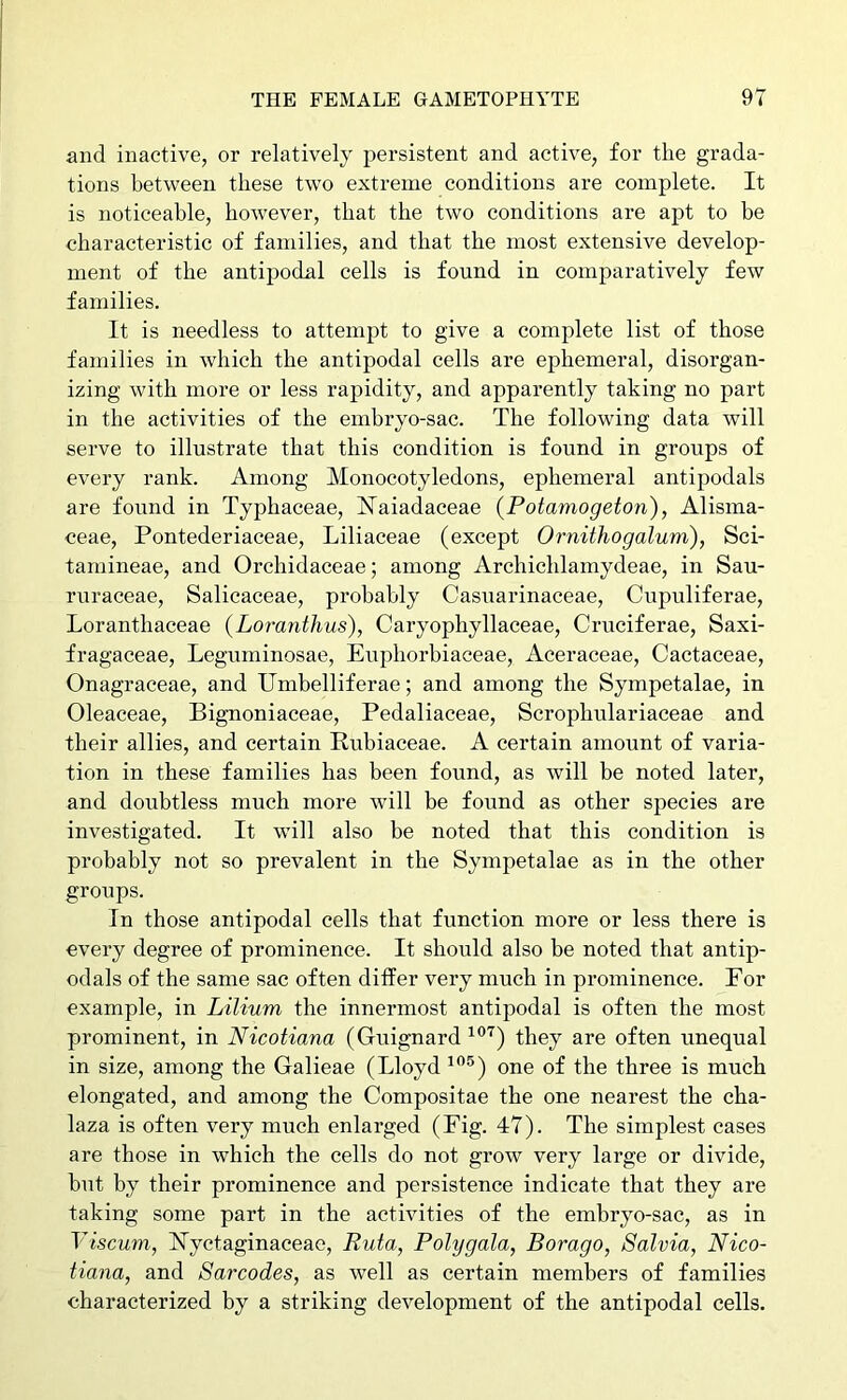 and inactive, or relatively persistent and acth^e, for the grada- tions between these two extreme conditions are complete. It is noticeable, however, that the two conditions are apt to be characteristic of families, and that the most extensive develop- ment of the antipodal cells is found in comparatively few families. It is needless to attempt to give a complete list of those families in which the antipodal cells are ephemeral, disorgan- izing with more or less rapidity, and apparently taking no part in the activities of the embryo-sac. The following data will serve to illustrate that this condition is found in groups of every rank. Among Monocotyledons, ephemeral antipodals are found in Typhaceae, Haiadaceae {Potamogeton), Alisma- ceae, Pontederiaceae, Liliaceae (except Ornithogalum), Sci- tamineae, and Orchidaceae; among Archichlamydeae, in Sau- ruraceae, Salicaceae, probably Casuarinaceae, Cupuliferae, Loranthaceae (Loranthus), Caryophyllaceae, Cruciferae, Saxi- fragaceae, Leguminosae, Euphorbiaceae, Aeeraceae, Cactaceae, Onagraceae, and Umbelliferae; and among the Sympetalae, in Oleaceae, Bignoniaceae, Pedaliaceae, Scrophulariaceae and their allies, and certain Rubiaceae. A certain amount of varia- tion in these families has been found, as will be noted later, and doubtless much more will be found as other species are investigated. It will also be noted that this condition is probably not so prevalent in the Sympetalae as in the other groups. In those antipodal cells that function more or less there is every degree of prominence. It should also be noted that antip- odals of the same sac often differ very much in prominence. For example, in Lilium the innermost antipodal is often the most prominent, in Nicotiana (Guignard they are often unequal in size, among the Galieae (Lloyd one of the three is much elongated, and among the Compositae the one nearest the cha- laza is often very much enlarged (Fig. 47). The simplest cases are those in which the cells do not grow very large or divide, but by their prominence and persistence indicate that they are taking some part in the activities of the embryo-sac, as in Viscum, Hyctaginaceae, Ruta, Polygala, Borago, Salvia, Nico- tiana, and Barcodes, as well as certain members of families characterized by a striking development of the antipodal cells.