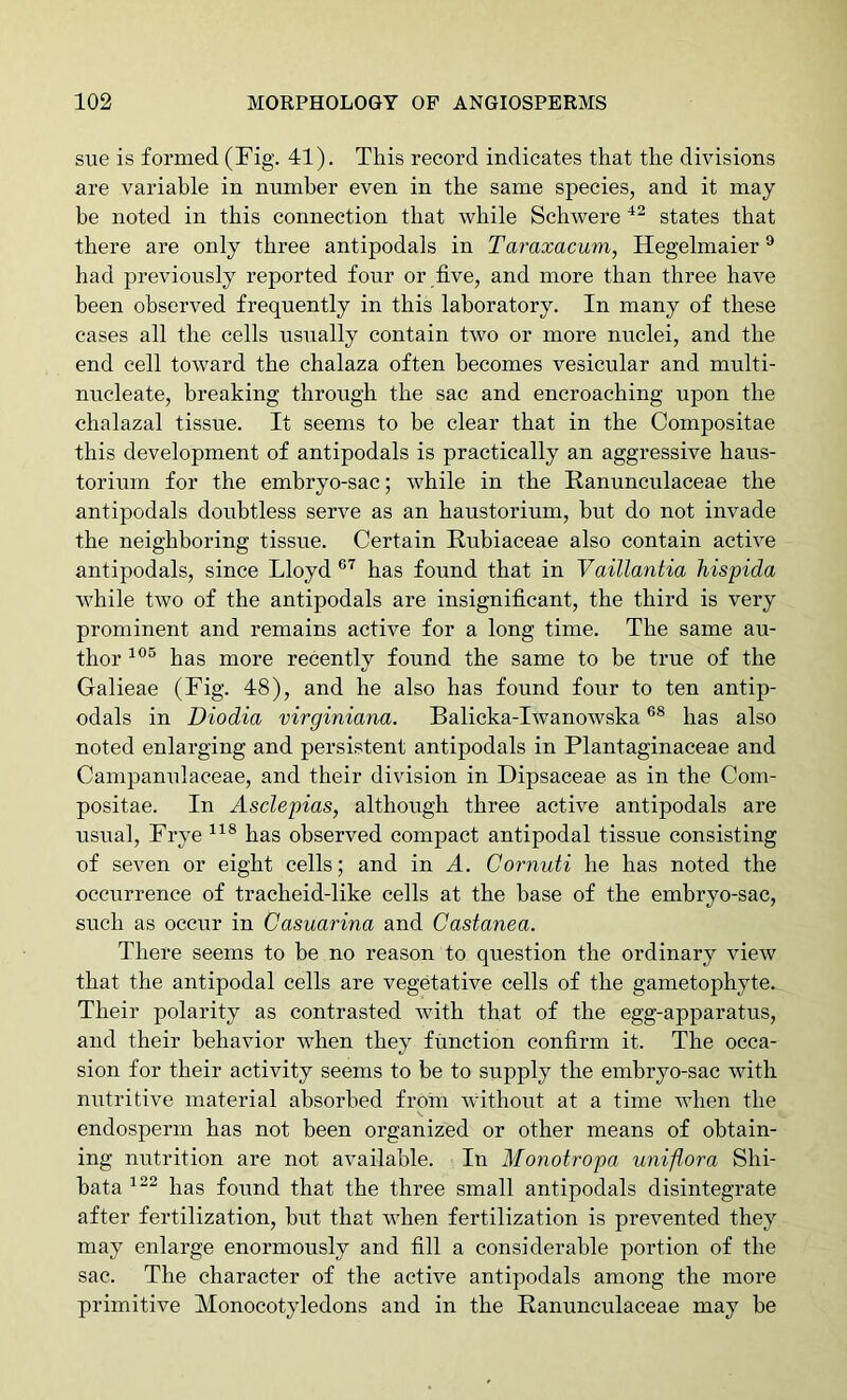 sue is formed (Fig. 41). This record indicates that the divisions are variable in number even in the same species, and it may be noted in this connection that while Schwere states that there are only three antipodals in Taraxacum, Hegelmaier ® had previously reported four or five, and more than three have been observed frequently in this laboratory. In many of these cases all the cells usually contain two or more nuclei, and the end cell toward the chalaza often becomes vesicular and multi- nucleate, breaking through the sac and encroaching upon the chalazal tissue. It seems to be clear that in the Compositae this development of antipodals is practically an aggressive haus- torium for the embryo-sac; while in the Ranunculaceae the antipodals doubtless serve as an haustorium, but do not invade the neighboring tissue. Certain Rubiaceae also contain active antipodals, since Lloyd has found that in Vaillantia hispida while two of the antipodals are insignificant, the third is very prominent and remains active for a long time. The same au- thor has more recently found the same to be true of the Galieae (Fig. 48), and he also has found four to ten antip- odals in Diodia virginiana. Balicka-Iwanowska has also noted enlarging and persistent antipodals in Plantaginaceae and Campamdaceae, and their division in Dipsaceae as in the Com- positae. In Asclepias, although three active antipodals are usual, Frye has observed compact antipodal tissue consisting of seven or eight cells; and in A. Cornuti he has noted the occurrence of tracheid-like cells at the base of the emhryo-sac, such as occur in Casuarina and Castanea. There seems to be no reason to question the ordinary view that the antipodal cells are vegetative cells of the gametophyte. Their polarity as contrasted with that of the egg-apparatus, and their behavior when they function confirm it. The occa- sion for their activity seems to be to supply the embryo-sac with nutritive material absorbed from without at a time when the endosperm has not been organized or other means of obtain- ing nutrition are not available. In Alonotropa unifiora Shi- bata has found that the three small antipodals disintegrate after fertilization, but that when fertilization is prevented they may enlarge enormously and fill a considerable portion of the sac. The character of the active antipodals among the more primitive Monocotyledons and in the Ranunculaceae may be