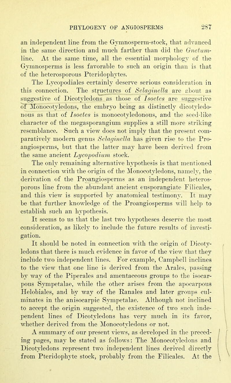 an independent line from the Gymnosperm-stoek, that advanced in the same direction and much farther than did the Gnetum- line. At the same time, all the essential morphology of the Gymnosperms is less favorable to such an origin than is that of the heterosporous Pteridophytes. The Lycopodiales certainly deserve serious consideration in this connection. The st:^uctures of Selaginella are about as suggestive of Dicotyledons as those of Isoetes are suggestive of Monocotyledons, the embryo being as distinctly dicotyledo- nous as that of Isoetes is monocotyledonous, and the seed-like character of the megasporangium supplies a still more striking resemblance. Such a view does not imply that the present com- paratively modern genus Selaginella has given rise to the Pro- angiosperms, but that the latter may have been derived from the same ancient Lycopodium stock. The only remaining alternative hypothesis is that mentioned in connection with the origin of the Monocotyledons, namely, the derivation of the Proangiosperms as an independent heteros- porous line from the abundant ancient eusporangiate Filicales, and this view is supported by anatomical testimony. It may be that further knowledge of the Proangiosperms will help to establish such an hypothesis. It seems to us that the last two hypotheses deserve the most consideration, as likely to include the future results of investi- gation. It should be noted in connection with the origin of Dicoty- ledons that there is much evidence in favor of the view that they include two independent lines. For example, Campbell inclines to the view that one line is derived from the Arales, passing by way of the Piperales and amentaceous groups to the isocar- pous Sympetalae, while the other arises from the apocarpous Ilelobiales, and by way of the Ranales and later groups cul- minates in the anisocarpic Sympetalae. Although not inclined to accept the origin suggested, the existence of two such inde- pendent lines of Dicotyledons has very much in its favor, whether derived from the Monocotyledons or not. A summary of oi;r present views, as developed in the preced- j j' ing pages, may be stated as follows: The Monocotyledons and Dicotyledons represent two independent lines derived directly \ from Pteridophyte stock, probably from the Filicales. At the \
