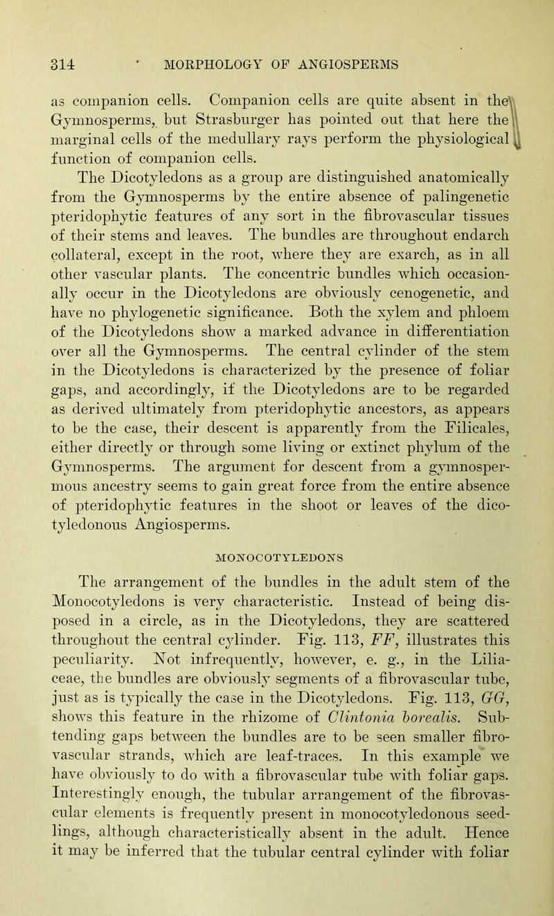 as companion cells. Companion cells are quite absent in tlie\ Gymnosperms, but Strasburger has pointed out that bere the marginal cells of the medullary rays perform the physiological function of companion cells. The Dicotyledons as a group are distinguished anatomically from the Gymnosperms by the entire absence of palingenetic pteridophytic features of any sort in the fibrovascular tissues of their stems and leaves. The bundles are throughout endarch collateral, except in the root, where they are exarch, as in all other vascular plants. The concentric bundles which occasion- ally occur in the Dicotyledons are obviously cenogenetic, and have no phylogenetic significance. Both the xylem and phloem of the Dicotyledons show a marked advance in differentiation over all the Gymnosperms. The central cylinder of the stem in the Dicotyledons is characterized by the presence of foliar gaps, and accordingly, if the Dicotyledons are to be regarded as derived ultimately from pteridophytic ancestors, as appears to be the case, their descent is apparently from the Bilicales, either directly or through some living or extinct phylum of the Gymnospei’ms. The argument for descent from a gymnosper- mous ancestry seems to gain great force from the entire absence of pteridophytic features in the shoot or leaves of the dico- tyledonous Angiosperms. MOWOCOTYUEDONS The arrangement of the bundles in the adult stem of the Monocotyledons is very characteristic. Instead of being dis- posed in a circle, as in tbe Dicotyledons, they are scattered throughout the central cylinder. Fig. 113, FF, illustrates this peculiarity. Hot infrequently, however, e. g., in the Lilia- ceae, the bundles are obviously segments of a fibrovascular tube, just as is typically the case in the Dicotyledons. Fig. 113, GG, shows this feature in the rhizome of Clintonia borealis. Sub- tending gaps between the bundles are to be seen smaller fibro- vascular strands, which are leaf-traces. In this example we have obviously to do with a fibrovascular tube with foliar gaps. Interestingly enough, the tubular arrangement of the fibrovas- cular elements is frequently present in monocotyledonous seed- lings, although characteristically absent in the adult. Hence it may be inferred that the tubular central cylinder with foliar