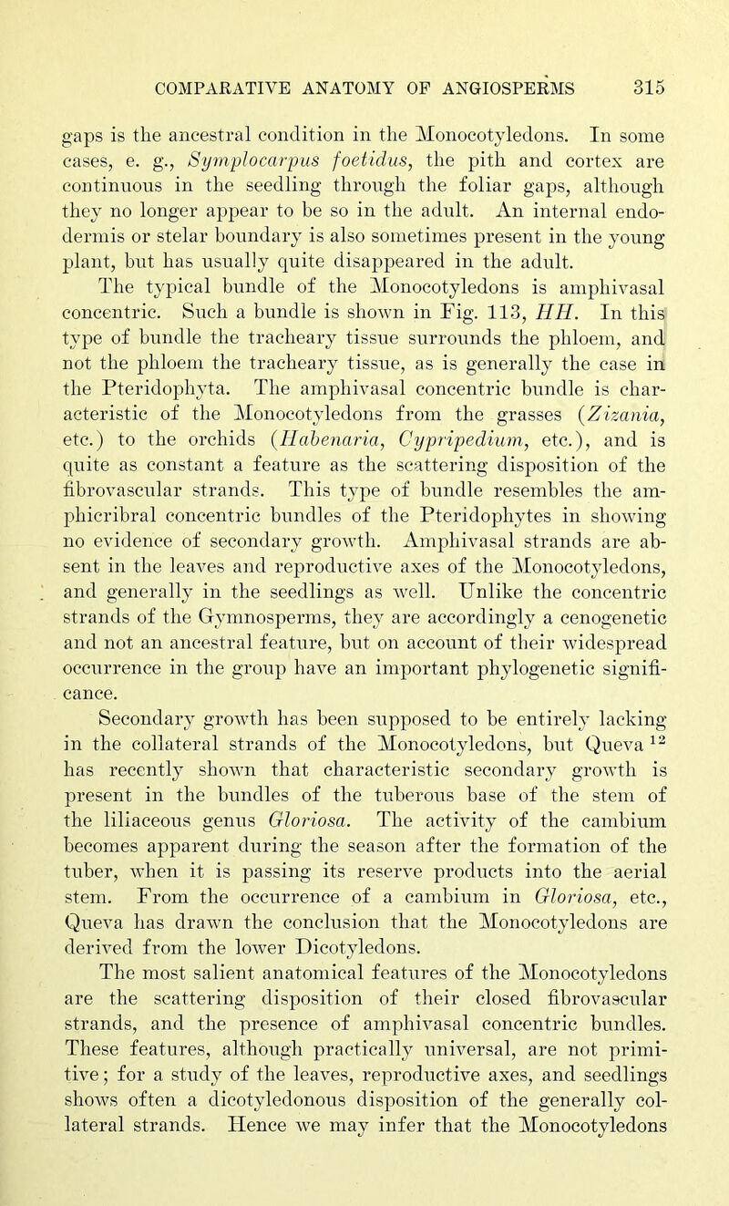 gaps is the ancestral condition in the Monocotyledons. In some cases, e. g., Symplocarpus foetidus, the pith and cortex are continuous in the seedling throiigh the foliar gaps, although they no longer appear to he so in the adult. An internal endo- dermis or stelar boundary is also sometimes present in the young plant, but has usually quite disappeared in the adult. The typical bundle of the Monocotyledons is amphivasal concentric. Such a bundle is shown in Fig. 113, HH. In this type of bundle the tracheary tissue surrounds the phloem, and not the phloem the tracheary tissue, as is generally the case in the Pteridophyta. The amphivasal concentric bundle is char- acteristic of the Monocotyledons from the grasses {Zizania, etc.) to the orchids {Ilabenaria, Cypripedium, etc.), and is quite as constant a feature as the scattering disposition of the fibrovascular strands. This type of bundle resembles the am- phicrihral concentric bundles of the Pteridophytes in showing no evidence of secondary growth. Amphivasal strands are ab- sent in the leaves and reproductive axes of the Monocotyledons, and generally in the seedlings as well. Unlike the concentric strands of the Gymnosperms, they are accordingly a cenogenetic and not an ancestral feature, but on account of their widespread occurrence in the group have an important phylogenetic signifi- cance. Secondary growth has been supposed to be entirely lacking in the collateral strands of the Monocotyledons, but Queva has recently shown that characteristic secondary growth is present in the bundles of the tuberous base of the stem of the liliaceous genus Gloriosa. The activity of the cambium becomes apparent during the season after the formation of the tuber, when it is passing its reserve products into the aerial stem. From the occurrence of a cambium in Gloriosa, etc., Queva has drawn the conclusion that the Monocotyledons are derived from the lower Dicotyledons. The most salient anatomical features of the Monocotyledons are the scattering disposition of their closed fibrovascular strands, and the presence of amphivasal concentric bundles. These features, although practically universal, are not primi- tive ; for a study of the leaves, reproductive axes, and seedlings shows often a dicotyledonous disposition of the generally col- lateral strands. Hence we may infer that the Monocotyledons