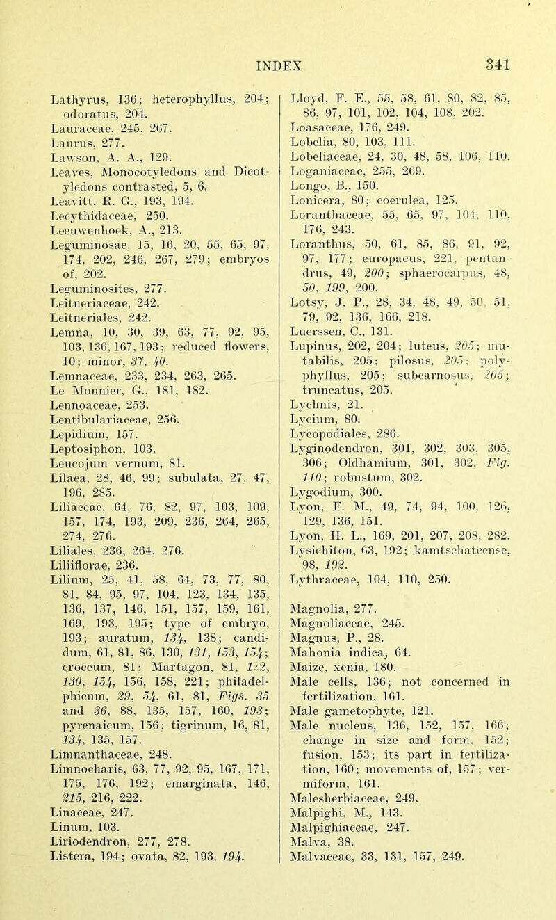 Lathyriis, 136; heterophyllus, 204; odoiatus, 204. Lamaceae, 245, 267. Laurus, 277. Lawson, A. A., 129. Leaves, Monocotyledons and Dicot- yledons contrasted, 5, 6. Leavitt, R. G., 193, 194. Lecytliidaceae, 250. Leeuwenhoek, A., 213. Leguminosae, 15, 16, 20, 55, 65, 97, 174, 202, 246, 267, 279; embryos of, 202. Leguminosites, 277. Leitneriaceae, 242. Leitneriales, 242. Lemna. 10, 30, 39, 63, 77, 92, 95, 103,136,167,193; reduced flowers, 10; minor, .37, JfO. Lemnaceae, 233, 234, 263, 265. Le Monnier, G., 181, 182. Lennoaeeae, 253. Lentibulariaeeae, 256. Lepidium, 157. Leptosiphon, 103. Leucojum veimum, 81. Lilaea, 28, 46, 99; subulata, 27, 47, 196, 285. Liliaceae, 64, 76, 82, 97, 103, 109, 157, 174, 193, 209, 236, 264, 265, 274, 276. Liliales, 236, 264, 276. Liliiflorae, 236. Lilium, 25, 41, 58, 64, 73, 77, 80, 81, 84, 95, 97, 104, 123, 134, 135, 136, 137, 146, 151, 157, 159, 161, 169, 193, 195; type of embryo, 193; auratum, 73.J, 138; candi- dum, 61, 81, 86, 130, 131, 153, 15.'r, croceum, 81; Martagon, 81, li2, 130, lo’i, 156, 158, 221; philadel- phicum, 29, 51/, 61, 81, Figs. 35 and 36, 88, 135, 157, 160, 193 ■, pyrenaicum, 156; tigrinum, 16, 81, m, 135, 157. Limnanthaceae, 248. Limnocharis, 63, 77, 92, 95, 167, 171, 175, 176, 192; emarginata, 146, 215, 216, 222. Linaceae, 247. Linum, 103. Liriodendron, 277, 278. Listera, 194; ovata, 82, 193, 19Jf. Lloyd, F. E., 55, 58, 61, 80, 82, 85, 86, 97, 101, 102, 104, 108, 202. Loasaceae, 176, 249. Lobelia, 80, 103, 111. Lobeliaceae, 24, 30, 48, 58, 106, 110. Loganiaceae, 255, 269. Longo, B., 150. Lonieera, 80; eoerulea, 125. Lorantliaceae, 55, 65, 97, 104, 110, 176, 243. Lorantlius, 50, 61, 85, 86, 91, 92, 97, 177; europaeus, 221, pentan- drus, 49, 200sphaerocarpus, 48, 50, 199, 200. Lotsy, J. P., 28, 34, 48, 49, 50 51, 79, 92, 136, 166, 218. Luerssen, C., 131. Lupinus, 202, 204; luteus, 205; mu- tabilis, 205; pilosus, 205; poly- phyllus, 205; subearnosus, 205; truncatus, 205. Lychnis, 21. Lycium, 80. Lycopodiales, 286. Lyginodendron, 301, 302, 303. 305, 306; Oldhamium, 301, 302, Pig. 110; robustum, 302. Lygodium, 300. Lyon, F. M., 49, 74, 94, 100. 126, 129. 1.36, 151. Lyon, H. L., 169, 201, 207, 208. 282. Lysichiton, 63, 192; kamtschatcense, 98, 192. Lythraceae, 104, 110, 250. Magnolia, 277. Magnoliaceae, 245. Magnus, P., 28. Mahonia indica, 64. Maize, xenia, 180. Male cells, 136; not concerned in fertilization, 161. Male gametophyte, 121. Male nucleus, 136, 152, 157, 166; change in size and form, 152; fusion, 153; its part in fertiliza- tion, 160; movements of, 157; ver- miform, 161. Malesherbiaceae, 249. Malpighi, M., 143. Malpighiaeeae, 247. Malva, 38. Malvaceae, 33, 131, 157, 249.