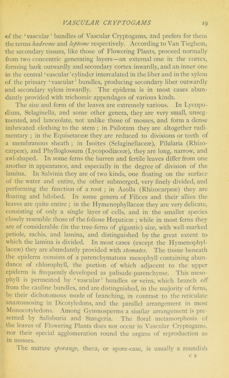 of the ‘ vascular ’ bundles of Vascular Cryptogams, and prefers for them the terms hadrome and leptome respectively. According to Van Tieghem, the secondary tissues, like those of Flowering Plants, proceed normally from two concentric generating layers—an external one in the cortex, forming bark outwardly and secondary cortex inwardly, and an inner one in the central ‘vascular’cylinder intercalated in the liber and in the xylem of the primary ‘vascular’ bundles, producing secondary liber outwardly and secondary xylem inwardly. The epiderm is in most cases abun- dantly provided with trichomic appendages of various kinds. The size and form of the leaves are extremely various. In Lycopo- dium, Selaginella, and some other genera, they are very small, unseg- mented, and lanceolate, not unlike those of mosses, and form a dense imbricated clothing to the stem ; in Psilotum they are altogether rudi- mentary ; in the Equisetacese they are reduced to divisions or teeth of a membranous sheath ; in Isoetes (Selaginellacete), Pilularia (Rhizo- carpeae), and Phylloglossum (Lycopodiaceae), they are long, narrow, and awl-shaped. In some ferns the barren and fertile leaves differ from one another in appearance, and especially in the degree of division of the lamina. In Salvinia they are of two kinds, one floating on the surface of the water and entire, the other submerged, very finely divided, and performing the function of a root ; in Azolla (Rhizocarpeae) they are floating and bilobed. In some genera of Filices and their allies the leaves are quite entire ; in the Hymenophyllaceae they are very delicate, consisting of only a single layer of cells, and in the smaller species closely resemble those of the foliose Hepaticae ; while in most ferns they are of considerable (in the tree-ferns of gigantic) size, with well-marked petiole, rachis, and lamina, and distinguished by the great extent to which the lamina is divided. In most cases (except the Hymenophyl- laceae) they are abundantly provided with stomates. The tissue beneath the epiderm consists of a parenchymatous mesophyll containing abun- dance of chlorophyll, the portion of which adjacent to the upper epiderm is frequently developed as palisade-parenchyme. This meso- phyll is permeated by ‘ vascular ’ bundles or veins, which branch off from the cauline bundles, and are distinguished, in the majority of ferns, by their dichotomous mode of branching, in contrast to the reticulate anastomosing in Dicotyledons, and the parallel arrangement in most Monocotyledons. Among Gymnosperms a similar arrangement is pre- sented by Salisburia and Stangeria. The floral metamorphosis of the leaves of Flowering Plants does not occur in Vascular Cryptogams, nor their special agglomeration round the organs of reproduction as in mosses. The mature sporange, theca, or spore-case, is usually a roundish