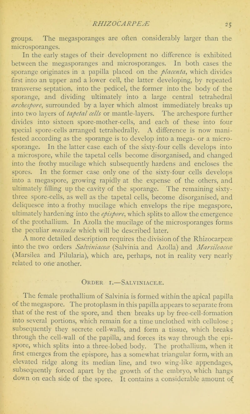 groups. The megasporanges are often considerably larger than the microsporanges. In the early stages of their development no difference is exhibited between the megasporanges and microsporanges. In both cases the sporange originates in a papilla placed on the placenta, which divides first into an upper and a lower cell, the latter developing, by repeated transverse septation, into the pedicel, the former into the body of the sporange, and dividing ultimately into a large central tetrahedral archespore, surrounded by a layer which almost immediately breaks up into two layers of tapetal cells or mantle-layers. The archespore further divides into sixteen spore-mother-cells, and each of these into four special spore-cells arranged tetrahedrally. A difference is now mani- fested according as the sporange is to develop into a mega- or a micro- sporange. In the latter case each of the sixty-four cells develops into a microspore, while the tapetal cells become disorganised, and changed into the frothy mucilage which subsequently hardens and encloses the spores. In the former case only one of the sixty-four cells develops into a megaspore, growing rapidly at the expense of the others, and ultimately filling up the cavity of the sporange. The remaining sixty- three spore-cells, as well as the tapetal cells, become disorganised, and deliquesce into a frothy mucilage which envelops the ripe megaspore, ultimately hardening into the epispore, which splits to allow the emergence of the prothallium. In Azolla the mucilage of the microsporanges forms the peculiar massulce which will be described later. A more detailed description requires the division of the Rhizocarpere into the two orders Salviniacece (Salvinia and Azolla) and Marsileacece (Marsilea and Pilularia), which are, perhaps, not in reality very nearly related to one another. Order i.—Salviniacece. The female prothallium of Salvinia is formed within the apical papilla of the megaspore. The protoplasm in this papilla appears to separate from that of the rest of the spore, and then breaks up by free-cell-formation into several portions, which remain for a time unclothed with cellulose ; subsequently they secrete cell-walls, and form a tissue, which breaks through the cell-wall of the papilla, and forces its way through the epi- spore, which splits into a three-lobed body. The prothallium, when it first emerges from the epispore, has a somewhat triangular form, with an elevated ridge along its median line, and two wing-like appendages, subsequently forced apart by the growth of the embryo, which hangs down on each side of the spore. It contains a considerable amount of