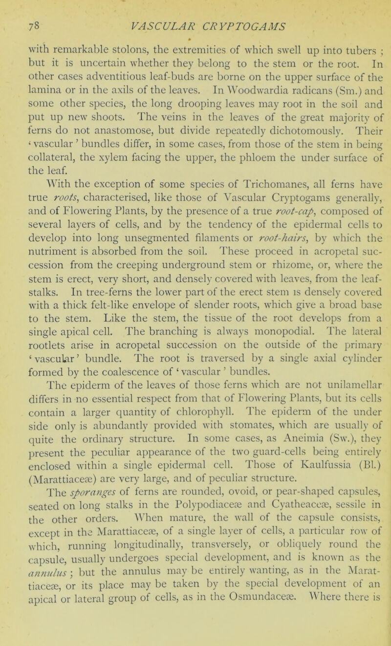 with remarkable stolons, the extremities of which swell up into tubers ; but it is uncertain whether they belong to the stem or the root. In other cases adventitious leaf-buds are borne on the upper surface of the lamina or in the axils of the leaves. In Woodwardia radicans (Sm.) and some other species, the long drooping leaves may root in the soil and put up new shoots. The veins in the leaves of the great majority of ferns do not anastomose, but divide repeatedly dichotomously. Their 4 vascular ’ bundles differ, in some cases, from those of the stem in being collateral, the xylem facing the upper, the phloem the under surface of the leaf. With the exception of some species of Trichomanes, all ferns have true roots, characterised, like those of Vascular Cryptogams generally, and of Flowering Plants, by the presence of a true root-cap, composed of several layers of cells, and by the tendency of the epidermal cells to develop into long unsegmented filaments or root-hairs, by which the nutriment is absorbed from the soil. These proceed in acropetal suc- cession from the creeping underground stem or rhizome, or, where the stem is erect, very short, and densely covered with leaves, from the leaf- stalks. In tree-ferns the lower part of the erect stem is densely covered with a thick felt-like envelope of slender roots, which give a broad base to the stem. Like the stem, the tissue of the root develops from a single apical cell. The branching is always monopodial. The lateral rootlets arise in acropetal succession on the outside of the primary ‘ vascular ’ bundle. The root is traversed by a single axial cylinder formed by the coalescence of ‘ vascular ’ bundles. The epiderm of the leaves of those ferns which are not unilamellar differs in no essential respect from that of Flowering Plants, but its cells contain a larger quantity of chlorophyll. The epiderm of the under side only is abundantly provided with stomates, which are usually of quite the ordinary structure. In some cases, as Aneimia (Sw.), they present the peculiar appearance of the two guard-cells being entirely enclosed within a single epidermal cell. Those of Kaulfussia (Bl.) (Marattiacese) are very large, and of peculiar structure. The sporanges of ferns are rounded, ovoid, or pear-shaped capsules, seated on long stalks in the Polypodiacece and Cyatheacese, sessile in the other orders. When mature, the wall of the capsule consists, except in the Marattiacese, of a single layer of cells, a particular row of which, running longitudinally, transversely, or obliquely round the capsule, usually undergoes special development, and is known as the annulus ; but the annulus may be entirely wanting, as in the Marat- tiacese, or its place may be taken by the special development of an apical or lateral group of cells, as in the Osmundacete. Where there is