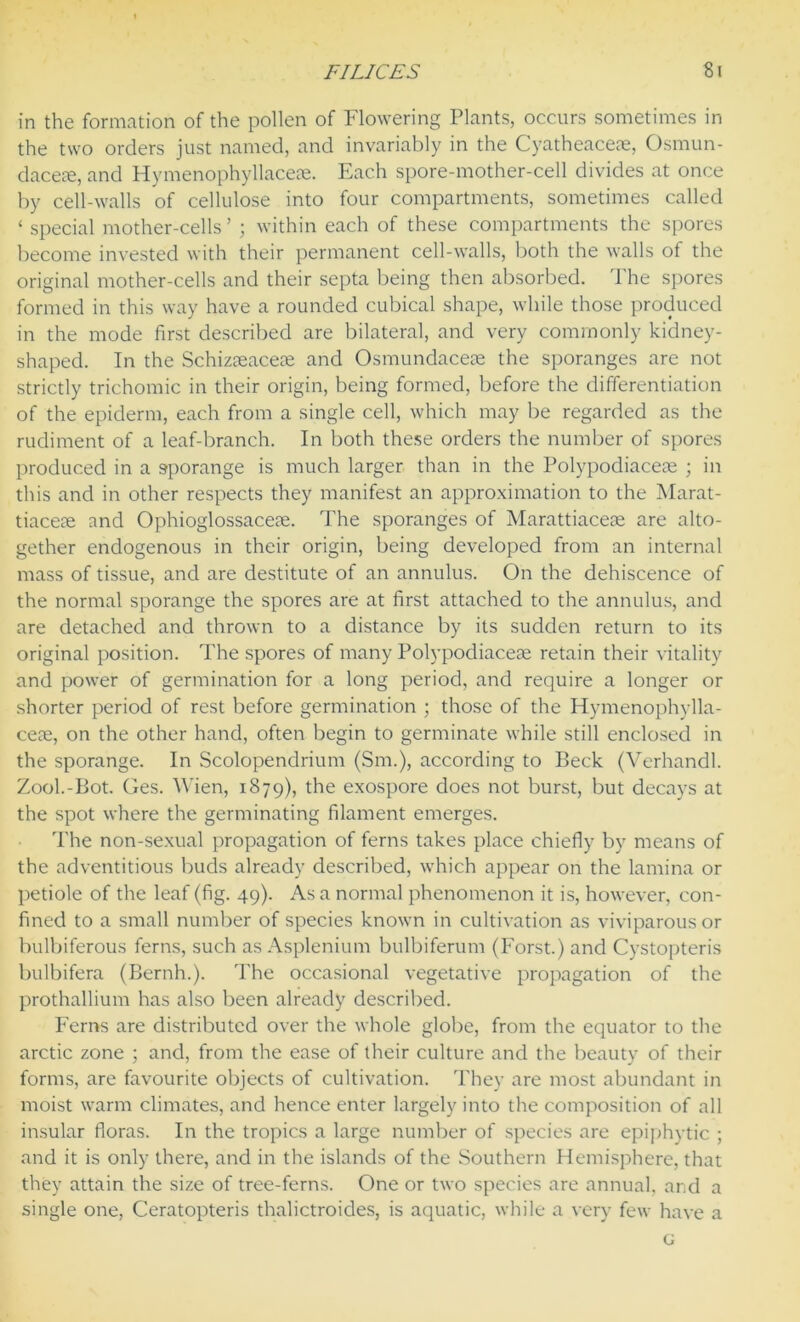 in the formation of the pollen of Flowering Plants, occurs sometimes in the two orders just named, and invariably in the Cyatheaceae, Osmun- daceae, and Hymenophyllaceae. Each spore-mother-cell divides at once by cell-walls of cellulose into four compartments, sometimes called ‘ special mother-cells ’ ; within each of these compartments the spores become invested with their permanent cell-walls, both the walls of the original mother-cells and their septa being then absorbed. The spores formed in this way have a rounded cubical shape, while those produced in the mode first described are bilateral, and very commonly kidney- shaped. In the Schizseaceae and Osmundacese the sporanges are not strictly trichomic in their origin, being formed, before the differentiation of the epiderm, each from a single cell, which may be regarded as the rudiment of a leaf-branch. In both these orders the number of spores produced in a sporange is much larger than in the Polypodiaceae ; in this and in other respects they manifest an approximation to the Marat- tiace?e and Ophioglossaceae. The sporanges of Marattiaceae are alto- gether endogenous in their origin, being developed from an internal mass of tissue, and are destitute of an annulus. On the dehiscence of the normal sporange the spores are at first attached to the annulus, and are detached and thrown to a distance by its sudden return to its original position. The spores of many Polypodiacese retain their vitality and power of germination for a long period, and require a longer or shorter period of rest before germination ; those of the Hymenophylla- ceoe, on the other hand, often begin to germinate while still enclosed in the sporange. In Scolopendrium (Sm.), according to Beck (Verhandl. Zool.-Bot. Ges. Wien, 1879), the exospore does not burst, but decays at the spot where the germinating filament emerges. The non-sexual propagation of ferns takes place chiefly by means of the adventitious buds already described, which appear on the lamina or petiole of the leaf (fig. 49). As a normal phenomenon it is, however, con- fined to a small number of species known in cultivation as viviparous or bulbiferous ferns, such as Asplenium bulbiferum (Forst.) and Cystopteris bulbifera (Bernh.). The occasional vegetative propagation of the prothallium has also been already described. Ferns are distributed over the whole globe, from the equator to the arctic zone ; and, from the ease of their culture and the beauty of their forms, are favourite objects of cultivation. They are most abundant in moist warm climates, and hence enter largely into the composition of all insular floras. In the tropics a large number of species are epiphytic ; and it is only there, and in the islands of the Southern Hemisphere, that they attain the size of tree-ferns. One or two species are annual, and a single one, Ceratopteris thalictroides, is aquatic, while a very few have a G
