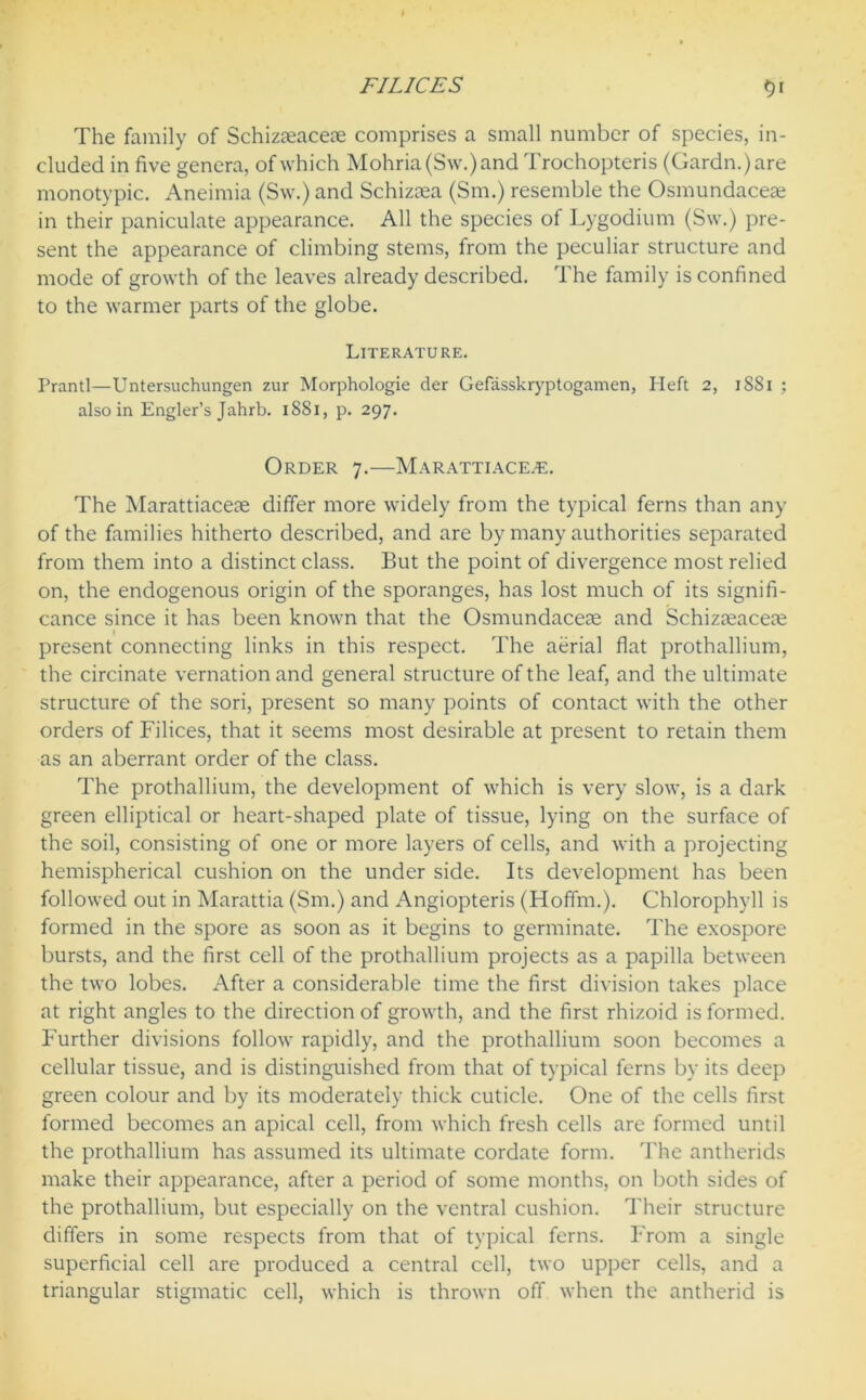 The family of Schizaeacere comprises a small number of species, in- cluded in five genera, of which Mohria(Sw.)and Trochopteris (Gardn.)are monotypic. Aneimia (Sw.) and Schizcea (Sm.) resemble the Osmundaceae in their paniculate appearance. All the species of Lygodium (Sw.) pre- sent the appearance of climbing stems, from the peculiar structure and mode of growth of the leaves already described. The family is confined to the warmer parts of the globe. Literature. Prantl—Untersuchungen zur Morphologie der Gefasskryptogamen, Heft 2, 1881 ; also in Engler’s Jahrb. 1881, p. 297. Order 7.—Marattiace.e. The Marattiaceae differ more widely from the typical ferns than any of the families hitherto described, and are by many authorities separated from them into a distinct class. But the point of divergence most relied on, the endogenous origin of the sporanges, has lost much of its signifi- cance since it has been known that the Osmundaceae and Schizseaceae i present connecting links in this respect. The aerial flat prothallium, the circinate vernation and general structure of the leaf, and the ultimate structure of the sori, present so many points of contact with the other orders of Filices, that it seems most desirable at present to retain them as an aberrant order of the class. The prothallium, the development of which is very slow, is a dark green elliptical or heart-shaped plate of tissue, lying on the surface of the soil, consisting of one or more layers of cells, and with a projecting hemispherical cushion on the under side. Its development has been followed out in Marattia (Sm.) and Angiopteris (Hoffm.). Chlorophyll is formed in the spore as soon as it begins to germinate. The exospore bursts, and the first cell of the prothallium projects as a papilla between the two lobes. After a considerable time the first division takes place at right angles to the direction of growth, and the first rhizoid is formed. Further divisions follow rapidly, and the prothallium soon becomes a cellular tissue, and is distinguished from that of typical ferns by its deep green colour and by its moderately thick cuticle. One of the cells first formed becomes an apical cell, from which fresh cells are formed until the prothallium has assumed its ultimate cordate form. The antherids make their appearance, after a period of some months, on both sides of the prothallium, but especially on the ventral cushion. Their structure differs in some respects from that of typical ferns. From a single superficial cell are produced a central cell, two upper cells, and a triangular stigmatic cell, which is thrown off when the antherid is