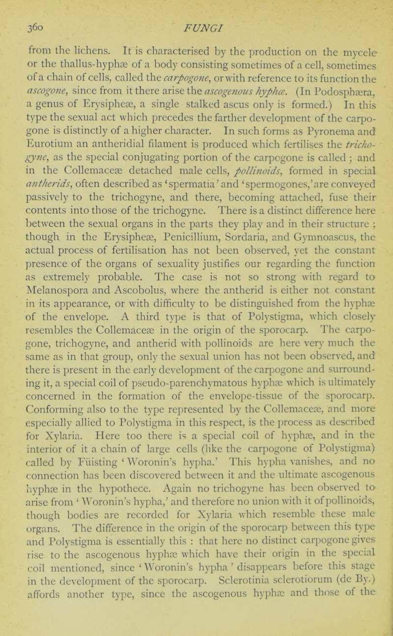 from the lichens. It is characterised by the production on the mycele or the thallus-hyphse of a body consisting sometimes of a cell, sometimes of a chain of cells, called the carpogone, or with reference to its function the ascogone, since from it there arise the ascogenous hypha. (In Podosphaera, a genus of Erysipheae, a single stalked ascus only is formed.) In this type the sexual act which precedes the farther development of the carpo- gone is distinctly of a higher character. In such forms as Pyronema and Eurotium an antheridial filament is produced which fertilises the tricho- gyne, as the special conjugating portion of the carpogone is called ; and in the Collemaceae detached male cells, pollinoids, formed in special antherids, often described as ‘spermatia’and ‘spermogones,’are conveyed passively to the trichogyne, and there, becoming attached, fuse their contents into those of the trichogyne. There is a distinct difference here between the sexual organs in the parts they play and in their structure ; though in the Erysipheae, Penicillium, Sordaria, and Gymnoascus, the actual process of fertilisation has not been observed, yet the constant presence of the organs of sexuality justifies our regarding the function as extremely probable. The case is not so strong with regard to Melanospora and Ascobolus, where the antherid is either not constant in its appearance, or with difficulty to be distinguished from the hyphae of the envelope. A third type is that of Polystigma, which closely resembles the Collemaceae in the origin of the sporocarp. The carpo- gone, trichogyne, and antherid with pollinoids are here very much the same as in that group, only the sexual union has not been observed, and there is present in the early development of the carpogone and surround- ing it, a special coil of pseudo-parenchymatous hyphae which is ultimately concerned in the formation of the envelope-tissue of the sporocarp. Conforming also to the type represented by the Collemaceae, and more especially allied to Polystigma in this respect, is the process as described for Xylaria. Here too there is a special coil of hyphae, and in the interior of it a chain of large cells (like the carpogone of Polystigma) called by Fiiisting ‘ Woronin’s hypha.’ This hypha vanishes, and no connection has been discovered between it and the ultimate ascogenous hyphae in the hypothece. Again no trichogyne has been observed to arise from £ Woronin’s hypha,’ and therefore no union with it of pollinoids, though bodies are recorded for Xylaria which resemble these male organs. The difference in the origin of the sporocarp between this type and Polystigma is essentially this : that here no distinct carpogone gives rise to the ascogenous hyphae which have their origin in the special coil mentioned, since ‘ Woronin’s hypha ’ disappears before this stage in the development of the sporocarp. Sclerotinia sclerotiorum (de By.) affords another type, since the ascogenous hyphae and those of the