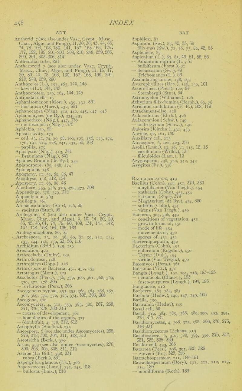 ANT 1JAT Antherid, 7 (see also under Vase. Crypt., Muse., Char., Alga;, and Fungi), 11, 30, 36, 43, 44, 65, 74, 78, 106, 108,130, 141, 157, 163-165, 175- 177, 192, 199, 201-203, 208, 210, 248, 259,286, 290, 291, 303-306, 314 Antheridial tube, 291 Antherozoid 7 (see also under Vase. Crypt., Muse., Char., Algae, and Fungi), 11, 15, 17, 20, 30, 44, 78, 108, 130, 157, 163, 199, 201, 210, 248, 259, 290 Anthoceros (L.), 157, 165, 144, 145 — ltevis (L.), 144, 145 Anthocerotete, 159, 164, 144, 145 Antipodal cells, 15 Aphanizomenon (Morr.), 430, 432, 361 — flos-aqua; (Morr.), 432, 361 Aphanocapsa (Nag), 412, 440, 445, 447 448 Aphanomyces (de By.), 334, 335 Aphanothece (N;ig.), 447, 375 — microscopica (Nag.), 375 Aphlebia, 120, 92 Apical cavity, 179 — cell, 23, 41, 74, 90, 98, 102, 105, 156, 173, 174, 176, 191, 214, 228, 241, 437, 52, 162 — papilla, 179 Apiocystis (Nag ), 413, 341 — Brauniana (Nag.), 341 Aplanes Braunii (de By.), 334 Aplanospore, 185, 258, 274 Aplolepidae, 148 Apogamy, 11, 52, 69, 86, 47 Apophyse, 148, 112, 124 A.pospory, 11, 69, 86, 48 K Apothece, 355, 356, 370, 372, 373, 308 Appendage, 378, 379, 312 Appendiculae, 363 Aquilegia, 364 Archseocalamites (Stur), 126, 99 — radiatus (Stur), 99 Archegone, 8 (see also under Vase. Crypt., Muse., Char., and Algae), 4, 10, 14, 20, 29, 43, 45, 46,61, 74, 79, 80, 109, 131, 141, 142, 147, 148, 158, 164, 165, 166 Archegoniophore, 86, 61 vArchespore, 13, 20, 36, 60, 80, 99, 111, 134, 135, 144, 146, 159, 33, 56, 110 Archidium (Brid.), 145, 150 Areolation, 420 Arthrocladia (Duby), 245 Arthrodontea;, 148 Arthropitys (Gdpp.), 126 Arthrosporous Bacteria, 451, 452, 455 Artotrogus (Mont.), 325 Ascobolus (Pers.), 356, 359, 360, 361, 368, 369, 37°, 372. 378, 305 — furfuraceus (Pers.), 305 Ascogenous hypha;, 353, 355, 360, 364, 366, 367, 368, 369, 370, 372, 373, 374, 305, 306, 308 Ascogone, 360 Ascomycetes, 4, 312, 353, 383, 386, 267, 268, 271, 276, 278, 300-313 — course of development, 361 — homologies of the organs, 377 — (doubtful), 4, 378, 312, 313 Ascophylla (Stackh.), 235 Ascospore, 6 (see also under Ascomycetes), 268, 276, 278, 300, 304, 311, 312, 313 Ascotricha (Berk.), 370 Ascus, 353 (see also under Ascomycetes), 276, 300, 303, 305, 308, 311, 312 Aseroe (La Bill.), 398, 331 — rubra (Berk.), 331 Aspergillus glaucus (Lk.), 366 Asperococcus (Lmx.), 241, 245, 218 — bullosus (Lmx.), 218 Aspidiea;, 83 Aspidium (Sw.), 85, 42, 55, 58 - filix-mas (Sw.), 72, 76, 77, 82, 42, 55 Aspleniea;, 83 Asplenium (L.), 69, 85, 49, 51, 56, 58 -- Adiantum-nigrum (L.), 51 — bulbiferum (Forst.), 81 — decussatum (Sw.), 49 — Trichomanes (L.), 56 Assimilating; tissue, 138, 193 Asterophyllites (Rev.), 126, 130, 101 Asterotheca (Presl), 122, 94 — Sternbergii (Stur), 94 Astromyelon (Williams.), 126 Athyrium filix-foemina (Bernh.). 69, 76 Atriehum undulatum (P. B.), 102, 119 Attachment-disc, 228 Aulacodiscus (Ehrb.), 426 Aulacomnion (Schw.), 149 — androgynum (Schw.), 140 Aulosira (Kirchn.), 430, 433 Auricle, 92, 161, 140 Auxiliary cell, 203 Auxospore, 6, 422, 423, 355 Azolla (Lam.), 19, 26, 31, 115, 12, 13 — caroliniana (Willd.), 13 — filiculoides (Lam.), 12 Azygosperm, 338, 340, 342, 343 Azygites (Fr.), 338 Bacillariace/E, 419 Bacillus (Cohn), 440, 451, 379, 380 — amylobacter (Van Tiegh.), 454 — anthracis (Cohn), 452, 454 — Fitzianus (Zopf), 379 — Megaterium (de By.), 454, 380 — subtilis (Cohn), 454 — virens (Van Tiegh.), 450 Bacteria, 305, 306, 449 — conditions of vegetation, 452 — growth-forms of, 450 — mode of life, 454 — movements of, 450 — spores of, 451, 452 Bacteriopurpurin, 450 Bacterium (Cohn), 451 — chlorinuin (Engelm.), 450 — Termo (Duj.), 454 viride (Van Tiegh.), 450 Bseomyces (Pers.), 361 Balsamia (Vitt.), 358 Bangia (Lyngb.), 190, 191, 216, 193-195 — ceramicola (Chauv.), 193 — fusco-purpurea (Lyngb.), 194, 195 Bangiacete, 216 Barberry, 383, 384, 385 Barbula (Hedw.), 140, 147, 149, 105 Barilla, 190 Bartramia (Hedw.), 149 Basal cell, 68 Basid, 312, 384, 385, 388, 389,390, 393, 394. 275, 317, 321 Basidiomycetes, 4, 306, 312, 388, 266, 270, 273, 316-331 P.asidiomycetous Lichens, 319 Basidiospore, 6, 312, 388, 389, 390, 275, 317, 321, 322, 325, 329 Basilar cell, 433, 365 Batarrea (Pers.), 308, 397, 325, 326 — Steveni (Fr.), 325, 32b Batrachospermeae, 211, 189-191 Batrachosperinum (Bory), 191, 211, 212, 213, 214, 189 — moniliforme (Roth), 189