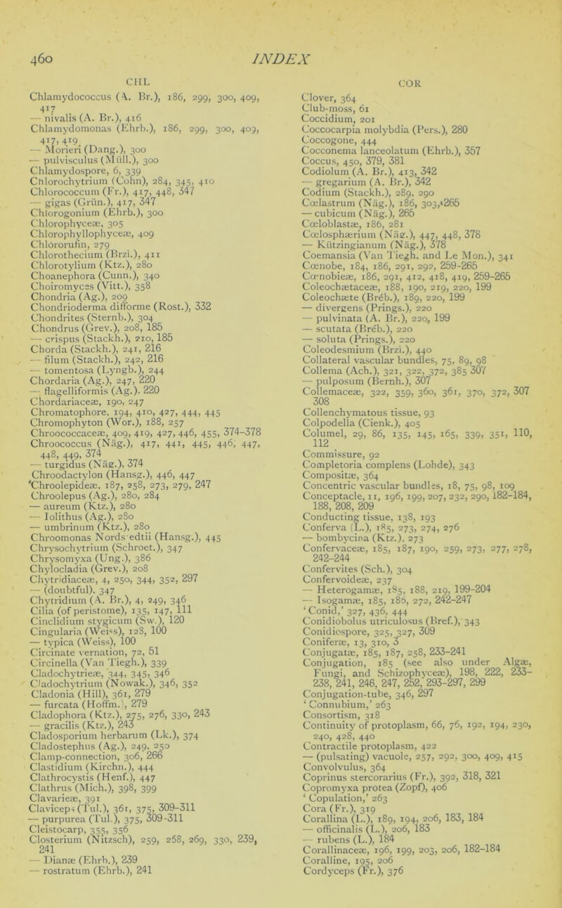 CIIL Chlamydococcus (\. Br.), 186, 299, 300,409, 417 — nivalis (A. Br.), 416 Chlamydomonas (Ehrb.), 186, 299, 300, 409, 417, 419. — Morieri (Dang.), 300 — pulvisculus (Mull.), 300 Chlamydospore, 6, 339 Chlorochytrium (Cohn), 284, 345, 410 Chlorococcum (Fr.), 417, 448, 347 — gigas (Grim.), 417, 347 Chlorogonium (Ehrb.), 300 Chlorophyce®, 305 Chlorophyllophyce®, 409 Chlororufin, 279 Chlorothecium (Brzi.), 411 Chlorotylium (Ktz.), 280 Choanephora (Cunn.), 340 Choiromycss (Vitt.), 358 Chondria (Ag.), 209 Chondrioderma difforme (Rost.), 332 Chondrites (Sternb.), 304 Chondrus (Grev.), 208, 185 — crispus (Stackb.), 210,185 Chorda (Stackh.), 241, 216 — filum (Stackh.), 242, 216 — tomentosa (Lyngb.), 244 Chordaria (Ag.), 247, 220 —; flagelliformis (Ag.). 220 Chordariace®, 190, 247 Chromatophore, 194, 410, 427, 444, 445 Chromophyton (Wor.), 188, 257 Chroococcaceae, 409, 419, 427, 446, 455, 374-378 Chroococcus (Nag.), 417, 441, 445, 446, 447, 448, 449, 374 •— turgidus (Nag.), 374 Chroodactylon (Hansg.), 446, 447 ‘Chroolepide®. 187, 258, 273, 279, 247 Chroolepus (Ag.), 280, 284 — aureum (Ktz.), 280 — Iolithus (Ag.), 2S0 — umbrinum (Ktz.), 280 Chroomonas Nords edtii (Hansg.), 445 Chrysochytriurn (Schroet.), 347 Chrysomyxa (Ung.), 386 Chylocladia (Grev.), 208 Chytridiace®, 4, 250, 344, 352, 297 — (doubtful). 347 Chytridium (A. Br.), 4, 249, 346 Cilia (of peristome), 135, 147, 111 Cinclidium stygicum (Sw.), i20 Cingularia (Wei's), 12S, lOO — typica (Weiss), 100 Circinate vernation, 72, 51 Circinella (Van Tiegh.), 339 Cladochytrie®, 344, 345, 34^ Cladochytrium (Nowak.), 346, 352 Cladonia (Hill), 361, 279 — furcata (Hoffm.), 279 Cladophora (Ktz.), 275, 276, 330, 243 -— gracilis (Ktz.), 243 Cladosporium herbarum (Lk.), 374 Cladostephus (Ag.), 249, 253 Clamp-connection, 306, 266 Clastidium (Kirchn.), 444 Clathrocystis (Henf.), 447 Clathrus (Mich.), 398, 399 Clavarieae, 391 Claviceps (Tul.), 361, 375, 309-311 — purpurea (Tul.), 375, 309-311 Cleistocarp, 355, 356 Closterium (Nitzsch), 259, 268, 269, 33O, 239, 241 — Dianas (Ehrb.), 239 — rostratum (Ehrb.), 241 COR Clover, 364 Club-moss, 61 Coccidium, 201 Coccocarpia molybdia (Pers.), 280 Coccogone, 444 Cocconema lanceolatum (Ehrb.), 357 Coccus, 450, 379, 381 Codiolum (A. Br.), 413, 342 — gregarium (A. Br.), 342 Codium (Stackh.), 289, 290 Coelastrum (Nag.), 186, 303,»265 — cubicum (Nag.), 265 Cceloblastae, 186, 281 Ccelosphaerium (Nag.), 447, 448, 378 — Kiitzingianum (Nag.), 378 Coemansia (Van Tiegh. and Le Mon.), 341 Coenobe, 184, 186, 291, 292, 259-265 Coenobie®, 186, 291, 412, 418, 419, 259-265 Coleoch®tace®, 188, 190, 219, 220, 199 Coleoch®te (Br6b.), 189, 220, 199 — divergens (Prings.), 220 — pulvinata (A. Br.), 220, 199 — scutata (Brdb.), 220 — soluta (Brings.), 220 Coleodesmium (Brzi.), 440 Collateral vascular bundles, 75, 89, 98 Collema (Ach.), 321, 322, 372, 385 307 — pulposum (Bernh.), 307 Collemaceae, 322, 359, 360, 361, 370, 372, 307 308 Collenchymatous tissue, 93 Colpodella (Cienk.), 405 Columel, 29, 86, 135, 145, 165, 339, 351, 110, 112 . Commissure, 92 Completoria complens (Lohde), 343 Composite, 364 Concentric vascular bundles, 18, 75, 98, 109 Conceptacle, it, 196, 109, 207, 232, 290,182-184, 188, 208, 209 Conducting tissue, 138, 193 Conferva (L.), 185, 273, 274, 276 — bombycina (Ktz.), 273 Confervace®, 185, 187, 190, 259, 273, 277, 278, 242-244 Confervites (Sch.), 304 Confervoide®, 237 — Heterogam®, 185, 188, 219, 199-204 — Isogam®, 185, 186, 272, 242-247 ‘Conid,’327, 436, 444 Conidiobolus utriculosus (Bref.), 343 Conidiospore, 325, 327, 309 Conifer®, 13, 310, 3 Conjugat®, 185, 187, 258, 233-241 Conjugation, 185 (see also under Alg®, Fungi, and Schizophyce®), 198, 222, 233- 238, 241, 246, 247, 252,'293-297, 299 Conjugation-tube, 346, 297 1 Conntibium,’ 263 Consortism, 318 Continuity of protoplasm, 66, 76, 192, 194, 230, 240, 428, 440 Contractile protoplasm, 422 — (pulsating) vacuole, 257, 292, 300, 409, 415 Convolvulus, 364 Coprinus stercorarius (Fr.), 392, 318, 321 Copromyxa protea (Zopf), 406 ‘ Copulation,’ 263 Cora (Fr.), 319 Corallina (L.), 189, 194, 206, 183, 184 — officinalis (L.), 206, 183 — rubens (L.), 184 Corallinace®, 196, 199, 203, 206, 182-184 Coralline, 195, 206 Cordyceps (Fr.), 376