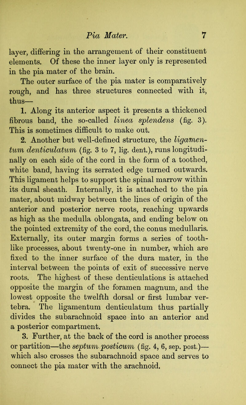 layer, differing in the arrangement of their constituent elements. Of these the inner layer only is represented in the pia mater of the brain. The outer surface of the pia mater is comparatively rough, and has three structures connected with it, thus— 1. Along its anterior aspect it presents a thickened fibrous band, the so-called linea splendens (fig. 3). This is sometimes difficult to make out. 2. Another but well-defined structure, the ligamen- tum denticulatum (fig. 3 to 7, lig. dent.), runs longitudi- nally on each side of the cord in the form of a toothed, white band, having its serrated edge turned outwards. This ligament helps to support the spinal marrow within its dural sheath. Internally, it is attached to the pia mater, about midway between the lines of origin of the anterior and posterior nerve roots, reaching upwards as high as the medulla oblongata, and ending below on the pointed extremity of the cord, the conus medullaris. Externally, its outer margin forms a series of tooth- like processes, about twenty-one in number, which are fixed to the inner surface of the dura mater, in the interval between the points of exit of successive nerve roots. The highest of these denticulations is attached opposite the margin of the foramen magnum, and the lowest opposite the twelfth dorsal or first lumbar ver- tebra. The ligamentum denticulatum thus partially divides the subarachnoid space into an anterior and a posterior compartment. 3. Further, at the back of the cord is another process or partition—the septum posticum (fig. 4, 6, sep. post.)— which also crosses the subarachnoid space and serves to connect the pia mater with the arachnoid.