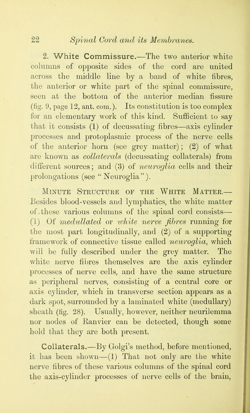 2. White Commissure.—The two anterior white columns of opposite sides of the cord are united across the middle line by a band of white fibres, the anterior or white part of the spinal commissure, seen at the bottom of the anterior median fissure (fig. 9, page 12, ant. com.). Its constitution is too complex for an elementary work of this kind. Sufficient to say that it consists (1) of decussating fibres—axis cylinder processes and protoplasmic process of the nerve cells of the anterior horn (see grey matter); (2) of what are known as collaterals (decussating collaterals) from different sources; and (3) of neuroglia cells and their prolongations (see “Neuroglia”). Minute Structure of the White Matter.— Besides blood-vessels and lymphatics, the white matter of.these various columns of the spinal cord consists— (1) Of medullated or white nerve fibres running for the most part longitudinally, and (2) of a supporting framework of connective tissue called neuroglia, which will be fully described under the grey matter. The white nerve fibres themselves are the axis cylinder processes of nerve cells, and have the same structure as peripheral nerves, consisting of a central core or axis cylinder, which in transverse section appears as a dark spot, surrounded by a laminated white (medullary) sheath (fig. 28). Usually, however, neither neurilemma nor nodes of Ranvier can be detected, though some hold that they are both present. Collaterals.—By Golgi’s method, before mentioned, it has been shown—(1) That not only are the white nerve fibres of these various columns of the spinal cord the axis-cylinder processes of nerve cells of the brain,