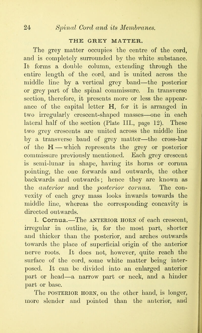 THE GREY MATTER. The grey matter occupies the centre of the cord, and is completely surrounded by the white substance. It forms a double column, extending through the entire length of the cord, and is united across the middle line by a vertical grey band—the posterior or grey part of the spinal commissure. In transverse section, therefore, it presents more or less the appear- ance of the capital letter H, for it is arranged in two irregularly crescent-shaped masses—one in each lateral half of the section (Plate III., page 12). These two grey crescents are united across the middle line by a transverse band of grey matter—the cross-bar of the H — which represents the grey or posterior commissure previously mentioned. Each grey crescent is semi-lunar in shape, having its horns or cornua pointing, the one forwards and outwards, the other backwards and outwards; hence they are known as the anterior and the posterior cornua. The con- vexity of each grey mass looks inwards towards the middle line, whereas the corresponding concavity is directed outwards. 1. Cornua.—The anterior horn of each crescent, irregular in outline, is, for the most part, shorter and thicker than the posterior, and arches outwards towards the place of superficial origin of the anterior nerve roots. It does not, however, quite reach the surface of the cord, some white matter being inter- posed. It can be divided into an enlarged anterior part or head—a narrow part or neck, and a hinder part or base. The POSTERIOR HORN, on the other hand, is longer, more slender and pointed than the anterior, and
