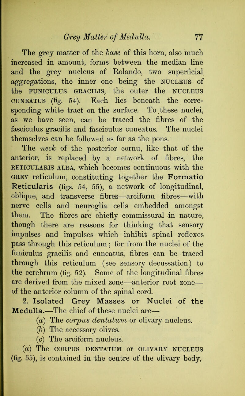 The grey matter of the base of this horn, also much increased in amount, forms between the median line and the grey nucleus of Rolando, two superficial aggregations, the inner one being the nucleus of the FUNICULUS GRACILIS, the outer the nucleus CUNEATUS (fig. 54). Each lies beneath the corre- sponding white tract on the surface. To .these nuclei, as we have seen, can be traced the fibres of the fasciculus gracilis and fasciculus cuneatus. The nuclei themselves can be followed as far as the pons. The neck of the posterior cornu, like that of the anterior, is replaced by a network of fibres, the reticularis ALBA, which becomes continuous with the GREY reticulum, constituting together the Formatio Reticularis (figs. 54, 55), a network of longitudinal, oblique, and transverse fibres—arciform fibres—with nerve cells and neuroglia cells embedded amongst them. The fibres are chiefly commissural in nature, though there are reasons for thinking that sensory impulses and impulses which inhibit spinal reflexes pass through this reticulum; for from the nuclei of the funiculus gracilis and cuneatus, fibres can be traced through this reticulum (see sensory decussation) to the cerebrum (fig. 52). Some of the longitudinal fibres are derived from the mixed zone—anterior root zone— of the anterior column of the spinal cord. 2. Isolated Grey Masses or Nuclei of the Medulla.—The chief of these nuclei are— (a) The corpus dentatum or olivary nucleus. (b) The accessory olives. ([c) The arciform nucleus. (a) The corpus dentatum or olivary nucleus (fig. 55), is contained in the centre of the olivary body,