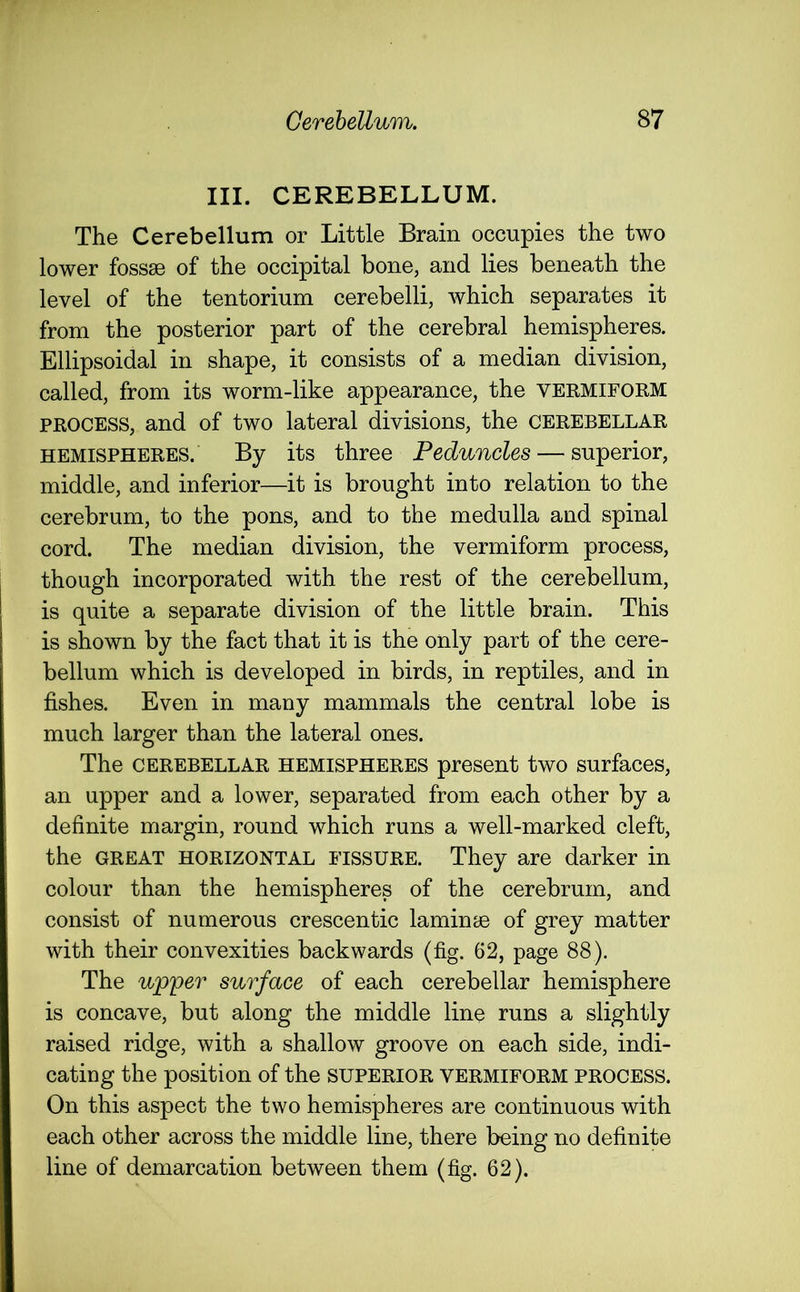 III. CEREBELLUM. The Cerebellum or Little Brain occupies the two lower fossae of the occipital bone, and lies beneath the level of the tentorium cerebelli, which separates it from the posterior part of the cerebral hemispheres. Ellipsoidal in shape, it consists of a median division, called, from its worm-like appearance, the VERMIFORM process, and of two lateral divisions, the cerebellar hemispheres. By its three Peduncles — superior, middle, and inferior—it is brought into relation to the cerebrum, to the pons, and to the medulla and spinal cord. The median division, the vermiform process, though incorporated with the rest of the cerebellum, is quite a separate division of the little brain. This is shown by the fact that it is the only part of the cere- bellum which is developed in birds, in reptiles, and in fishes. Even in many mammals the central lobe is much larger than the lateral ones. The CEREBELLAR hemispheres present two surfaces, an upper and a lower, separated from each other by a definite margin, round which runs a well-marked cleft, the GREAT HORIZONTAL fissure. They are darker in colour than the hemispheres of the cerebrum, and consist of numerous crescentic laminae of grey matter with their convexities backwards (fig. 62, page 88). The upper surface of each cerebellar hemisphere is concave, but along the middle line runs a slightly raised ridge, with a shallow groove on each side, indi- cating the position of the superior vermiform process. On this aspect the two hemispheres are continuous with each other across the middle line, there being no definite line of demarcation between them (fig. 62).