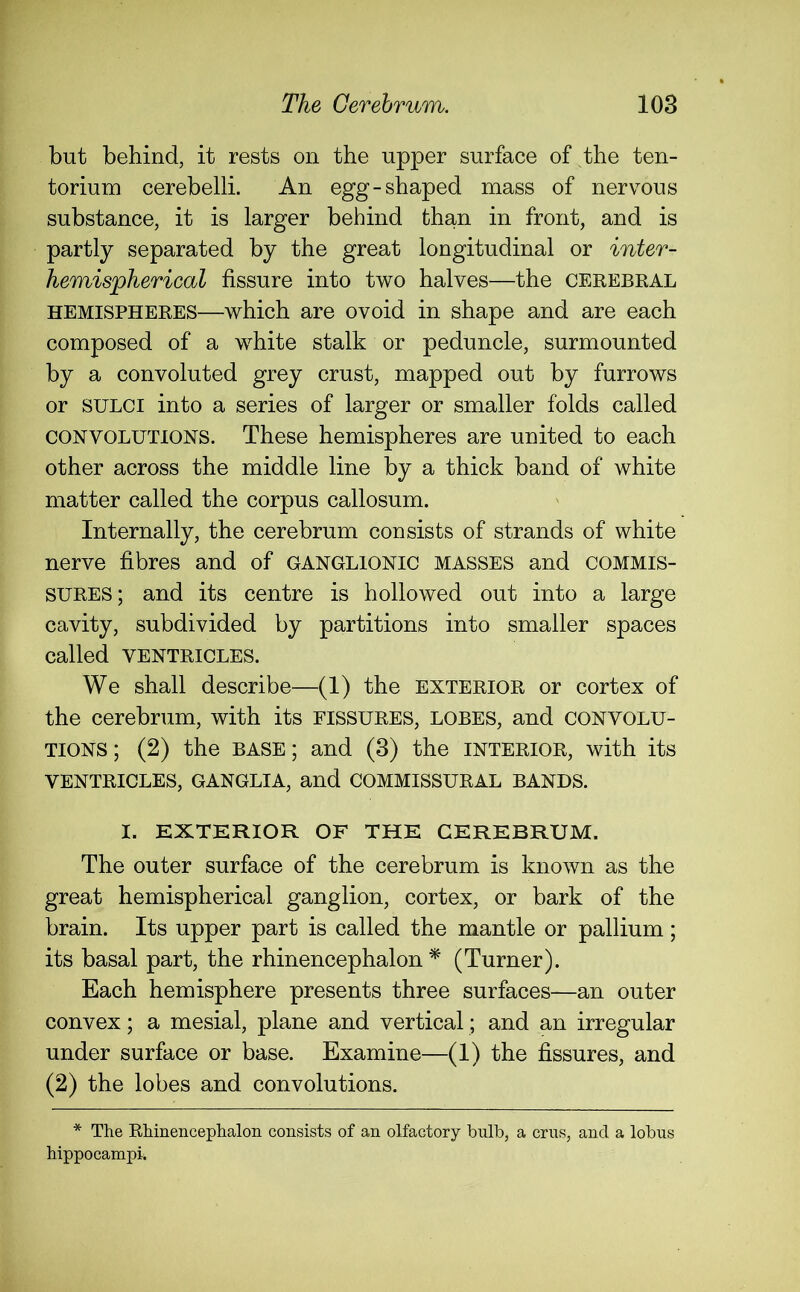 The Cerebrum. ioa but behind, it rests on the upper surface of . the ten- torium cerebelli. An egg-shaped mass of nervous substance, it is larger behind than in front, and is partly separated by the great longitudinal or inter- hemispherical fissure into two halves—the cerebral hemispheres—which are ovoid in shape and are each composed of a white stalk or peduncle, surmounted by a convoluted grey crust, mapped out by furrows or SULCI into a series of larger or smaller folds called convolutions. These hemispheres are united to each other across the middle line by a thick band of white matter called the corpus callosum. Internally, the cerebrum consists of strands of white nerve fibres and of ganglionic masses and commis- sures; and its centre is hollowed out into a large cavity, subdivided by partitions into smaller spaces called VENTRICLES. We shall describe—(1) the exterior or cortex of the cerebrum, with its fissures, lobes, and convolu- tions ; (2) the base; and (3) the interior, with its VENTRICLES, GANGLIA, and COMMISSURAL BANDS. I. EXTERIOR OF THE CEREBRUM. The outer surface of the cerebrum is known as the great hemispherical ganglion, cortex, or bark of the brain. Its upper part is called the mantle or pallium; its basal part, the rhinencephalon * (Turner). Each hemisphere presents three surfaces—an outer convex; a mesial, plane and vertical; and an irregular under surface or base. Examine—(1) the fissures, and (2) the lobes and convolutions. * The Rhinencephalon consists of an olfactory bulb, a crus, and a lobus hippocampi.