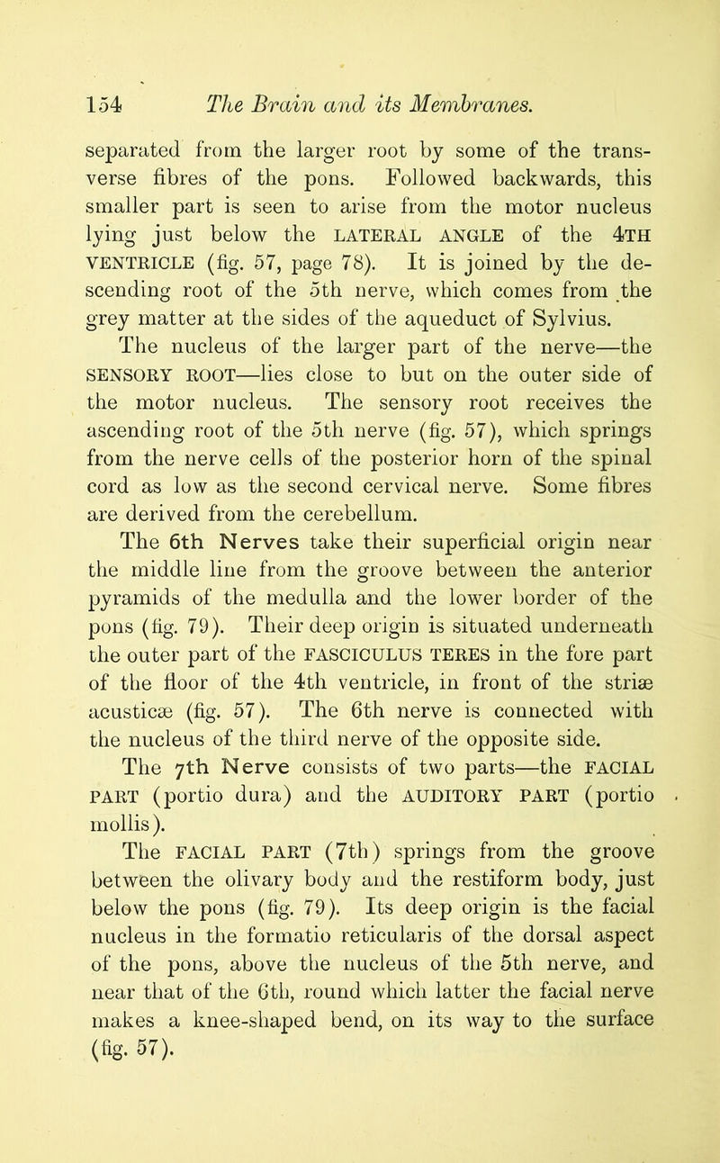 separated from the larger root by some of the trans- verse fibres of the pons. Followed backwards, this smaller part is seen to arise from the motor nucleus lying just below the lateral ANGLE of the 4th ventricle (fig. 57, page 78). It is joined by the de- scending root of the 5th nerve, which comes from the grey matter at the sides of the aqueduct of Sylvius. The nucleus of the larger part of the nerve—the sensory root—lies close to but on the outer side of the motor nucleus. The sensory root receives the ascending root of the 5th nerve (fig. 57), which springs from the nerve cells of the posterior horn of the spinal cord as low as the second cervical nerve. Some fibres are derived from the cerebellum. The 6th Nerves take their superficial origin near the middle line from the groove between the anterior pyramids of the medulla and the lower border of the pons (fig. 79). Their deep origin is situated underneath the outer part of the FASCICULUS teres in the fore part of the floor of the 4th ventricle, in front of the striae acusticae (fig. 57). The 6th nerve is connected with the nucleus of the third nerve of the opposite side. The 7th Nerve consists of two parts—the FACIAL PART (portio dura) and the AUDITORY PART (portio mollis ). The FACIAL part (7th) springs from the groove between the olivary body and the restiform body, just below the pons (fig. 79). Its deep origin is the facial nucleus in the formatio reticularis of the dorsal aspect of the pons, above the nucleus of the 5th nerve, and near that of the 6th, round which latter the facial nerve makes a knee-shaped bend, on its way to the surface (fig. 57).