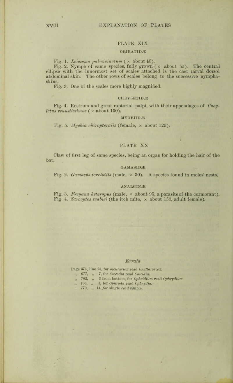 PLATE XIX ORIBATID^E Fig. 1. Leiosoma palmic/inctum ( x about 40). Fig. 2. Nymph of same species, fully grown ( x about 55). The central ellipse with the innermost set of scales attached is the cast larval dorsol abdominal skin. The other rows of scales belong to the successive nympha- skins. Fig. 3. One of the scales more highly magnified. CHEYLETIDJE Fig. 4. Rostrum and great raptorial palpi, with their appendages of Cliey- letus venustissivms ( x about 150). MYOBIIDJE Fig. 5. My tibia cltiropteralis (female, x about 125). PLATE XX Claw of first leg of same species, being an organ for holding the hair of the bat. GAMAS1DJE Fig. 2. Gamasxis terribilis (male, x 30). A species found in moles’ nests. ANALGINJE Fig. 3. Frcyana heterojms {male, x about 05, a parasite of the cormorant). Fig. 4. Sarcoptes scabiei (the itch mite, x about 150, adult female). Errata Page 375, line 25, for oscillariccere&d Oscillariacece. „ 677, „ 7, for Coccodia read Coccidia. „ 702, „ 3 from bottom, for Ophridium read Ophrydium. „ 706, „ 3, for Ophryda read Ophrydia. „ 770, „ 14, for single read simple.