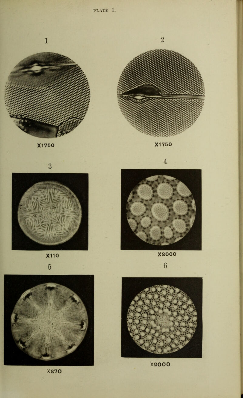 PLAT35 1, H 1 X1750 9 X1750 3 4 X110 5 X2000 6 X270 X2000 I