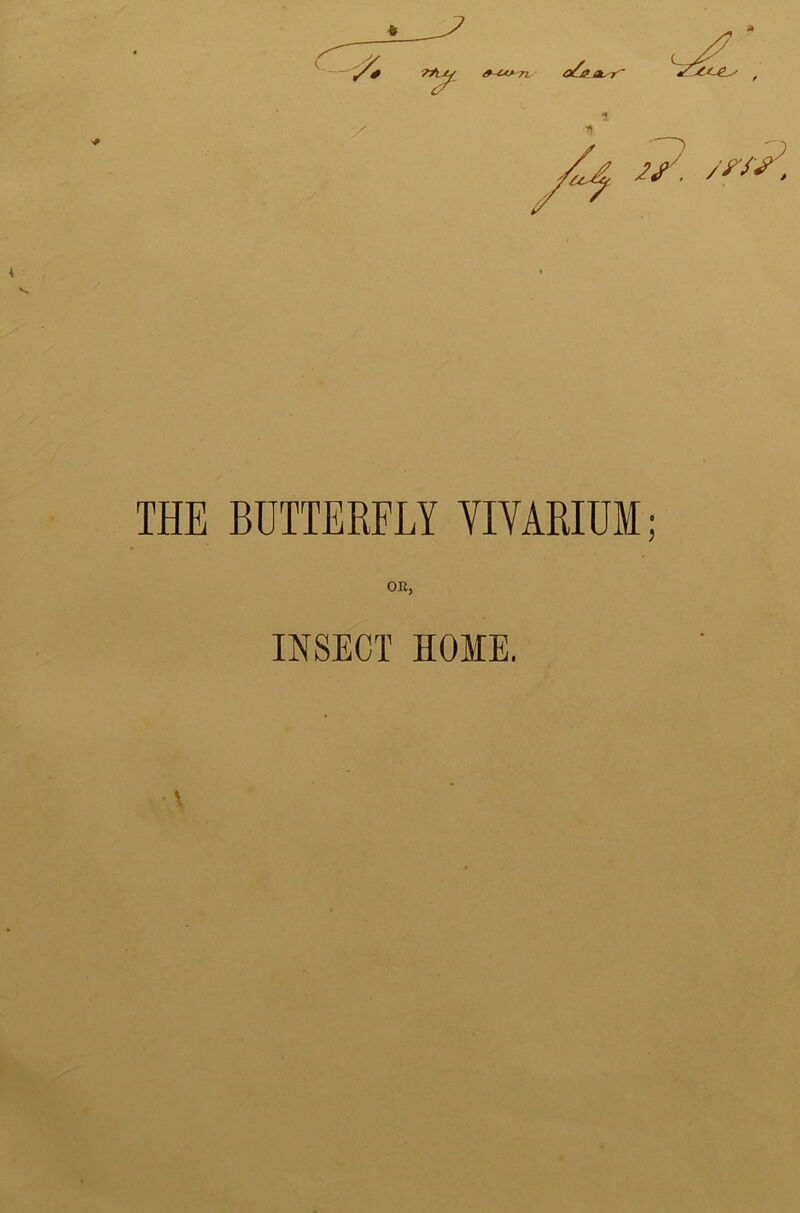 oSf ,- * THE BUTTERFLY YIYARIUM; OE, INSECT HOME.