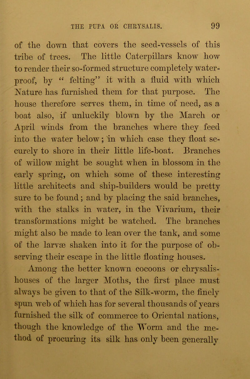 of the down that covers the seed-vessels of this tribe of trees. The little Caterpillars know how to render their so-formed structure completely water- proof, by “ felting” it with a fluid with which Nature has furnished them for that purpose. The house therefore serves them, in time of need, as a boat also, if unluckily blown by the March or April winds from the branches where they feed into the water below; in which case they float se- curely to shore in their little life-boat. Branches of willow might he sought when in blossom in the early spring, on which some of these interesting little architects and ship-builders would be pretty sure to he found; and by placing the said branches, with the stalks in water, in the Vivarium, their transformations might he watched. The branches might also he made to lean over the tank, and some of the larvae shaken into it for the purpose of ob- serving their escape in the little floating houses. Among the better known cocoons or chrysalis- houses of the larger Moths, the first place must always he given to that of the Silk-worm, the finely spun weh of which has for several thousands of years furnished the silk of commerce to Oriental nations, though the knowledge of the Worm and the me- thod of procuring its silk has only been generally