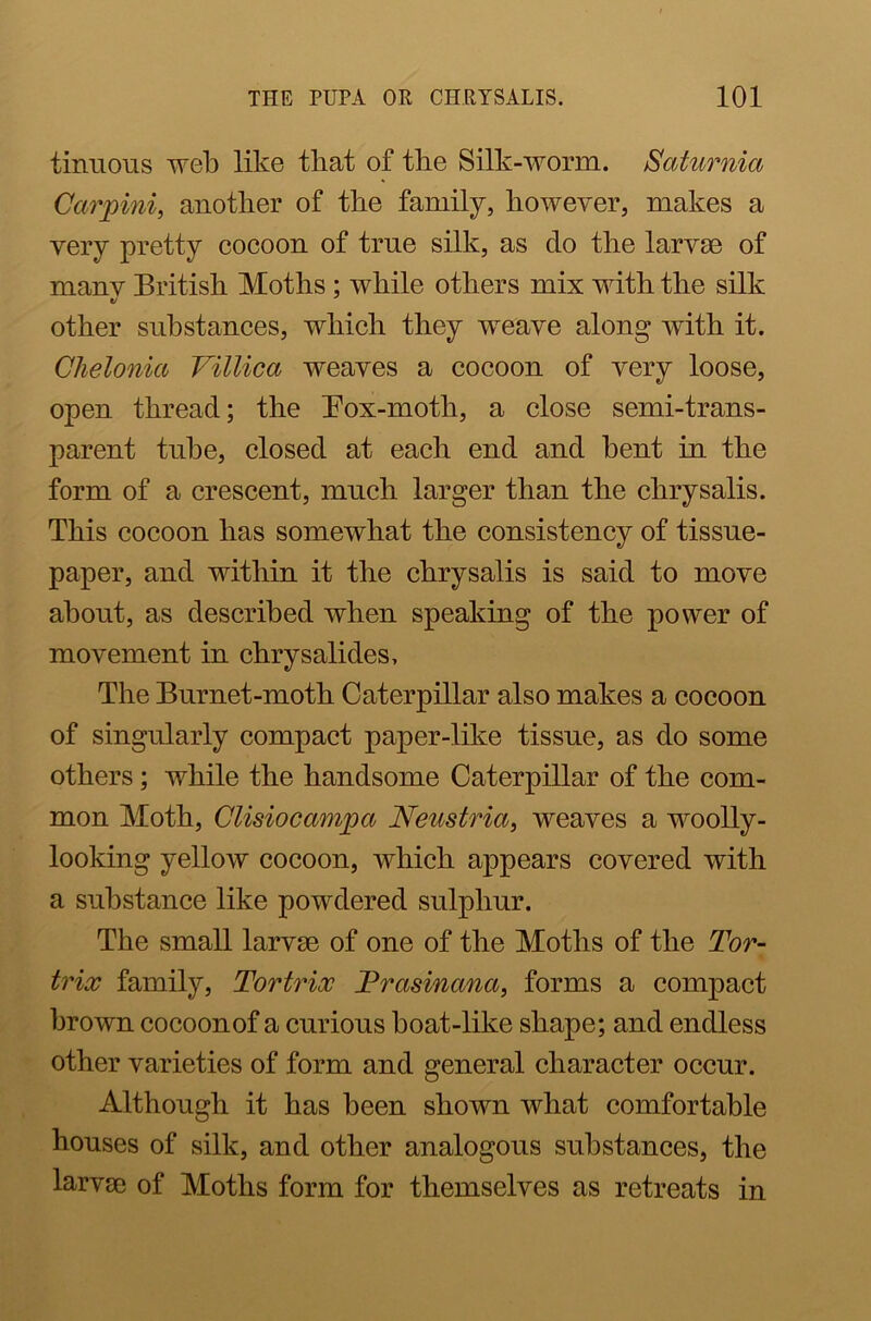 tinuous web like that of the Silk-worm. Saturnia Carpini, another of the family, however, makes a very pretty cocoon of true silk, as clo the larvae of manv British Moths ; while others mix with the silk v other substances, which they weave along with it. Chelonia Villica weaves a cocoon of very loose, open thread; the Box-moth, a close semi-trans- parent tube, closed at each end and bent in the form of a crescent, much larger than the chrysalis. This cocoon has somewhat the consistency of tissue- paper, and within it the chrysalis is said to move about, as described when speaking of the power of movement in chrysalides. The Burnet-moth Caterpillar also makes a cocoon of singularly compact paper-like tissue, as do some others; while the handsome Caterpillar of the com- mon Moth, Clisiocampa Neustria, weaves a woolly- looking yellow cocoon, which appears covered with a substance like powdered sulphur. The small larvse of one of the Moths of the Tor- trix family, Tortrix Trasinana, forms a compact brown cocoon of a curious boat-like shape; and endless other varieties of form and general character occur. Although it has been shown what comfortable houses of silk, and other analogous substances, the larvse of Moths form for themselves as retreats in