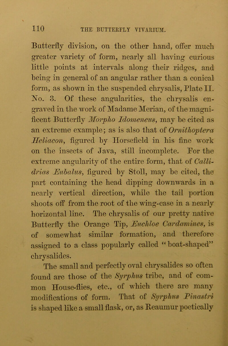 Butterfly division, on the other hand, offer much greater variety of form, nearly all having curious little points at intervals along their ridges, and being in general of an angular rather than a conical form, as shown in the suspended chrysalis, Plate II. No. 3. Of these angularities, the chrysalis en- graved in the work of Madame Merian, of the magni- ficent Butterfly Morpho Idomeneus, may be cited as an extreme example; as is also that of Ornithoptera Heliacon, figured by Horsefield in his fine work on the insects of Java, still incomplete. Por the extreme angularity of the entire form, that of Ccdli- drias JEubcdus, figured by Stoll, may he cited, the part containing the head dipping downwards in a nearly vertical direction, while the tail portion shoots off from the root of the wing-case in a nearly horizontal line. The chrysalis of our pretty native Butterfly the Orange Tip, JEuchloe Cardammes, is of somewhat similar formation, and therefore assigned to a class popularly called “ boat-shaped” chrysalides. The small and perfectly oval chrysalides so often found are those of the Syr pirns tribe, and of com- mon House-flies, etc., of which there are many modifications of form. That of Syrphus Pinastri is shaped like a small flask, or, as Reaumur poetically