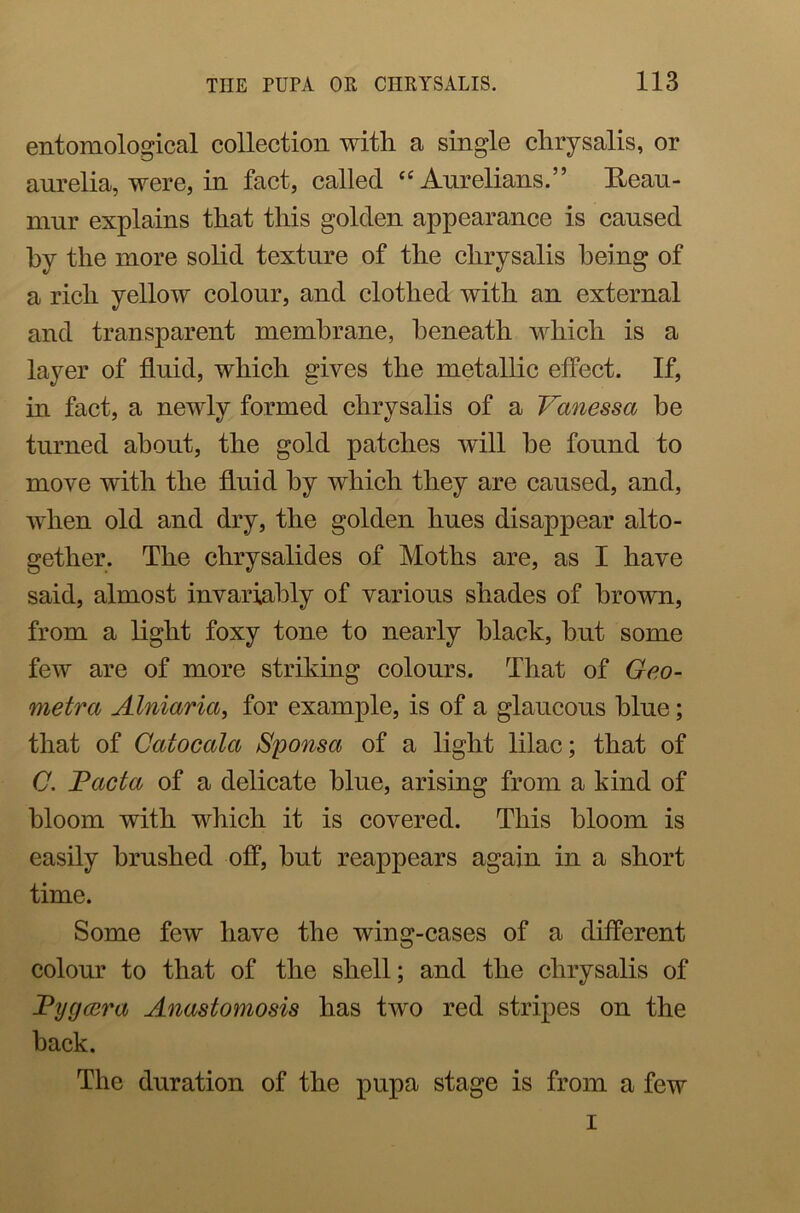 entomological collection with a single chrysalis, or aurelia, were, in fact, called “ Aurelians.” Heau- mnr explains that this golden appearance is caused by the more solid texture of the chrysalis being of a rich yellow colour, and clothed with an external and transparent membrane, beneath which is a layer of fluid, which gives the metallic effect. If, in fact, a newly formed chrysalis of a Vanessa be turned about, the gold patches will he found to move with the fluid by which they are caused, and, when old and dry, the golden hues disappear alto- gether. The chrysalides of Moths are, as I have said, almost invariably of various shades of brown, from a light foxy tone to nearly black, hut some few are of more striking colours. That of Geo- metra Alniaria, for example, is of a glaucous blue; that of Catocala Sp onset of a light lilac; that of C. Facta of a delicate blue, arising from a kind of bloom with which it is covered. This bloom is easily brushed off, hut reappears again in a short time. Some few have the wing-cases of a different colour to that of the shell; and the chrysalis of Fyrjeera Anastomosis has two red stripes on the back. The duration of the pupa stage is from a few i