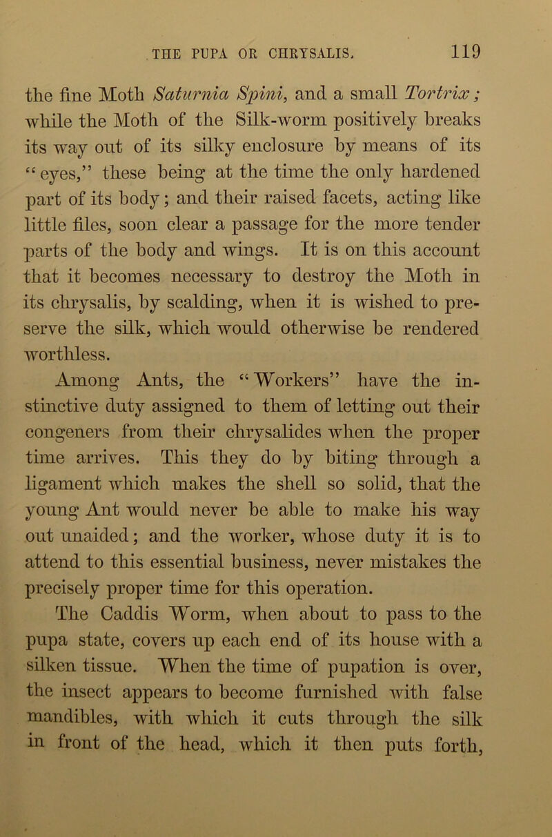 tlie fine Moth Saturnia Spini, and a small Tortrix; while the Moth of the Silk-worm positively breaks its way ont of its silky enclosure by means of its “eyes,” these being at the time the only hardened part of its body; and their raised facets, acting like little files, soon clear a passage for the more tender parts of the body and wings. It is on this account that it becomes necessary to destroy the Moth in its chrysalis, by scalding, when it is wished to pre- serve the silk, which would otherwise be rendered worthless. Among Ants, the “Workers” have the in- stinctive duty assigned to them of letting ont their congeners from their chrysalides when the proper time arrives. This they do by biting through a ligament which makes the shell so solid, that the young Ant would never be able to make his way out unaided; and the worker, whose duty it is to attend to this essential business, never mistakes the precisely proper time for this operation. The Caddis Worm, when about to pass to the pupa state, covers up each end of its house with a silken tissue. When the time of pupation is over, the insect appears to become furnished with false mandibles, with which it cuts through the silk in front of the head, which it then puts forth,