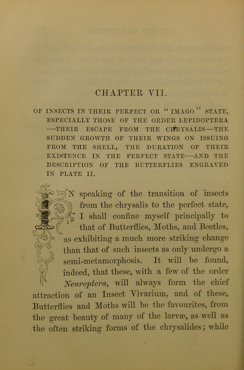 CHAPTER VII. OF INSECTS IN THEIR PERFECT OR “ IMAGO ” STATE, ESPECIALLY THOSE OF THE ORDER LEPIDOPTERA —THEIR ESCAPE FROM THE CHRYSALIS—THE SUDDEN GROWTH OF THEIR WINGS ON ISSUING FROM THE SHELL, THE DURATION OF THEIR EXISTENCE IN THE PERFECT STATE—AND THE DESCRIPTION OF THE BUTTERFLIES ENGRAVED IN PLATE II. 'N speaking of the transition of insects from the chrysalis to the perfect state, I shall confine myself principally to that of Butterflies, Moths, and Beetles, as exhibiting a much more striking change than that of such insects as only undergo a semi-metamorpliosis. It will be found, indeed, that these, with a few of the order Neui'optera, will always form the chief attraction of an Insect Vivarium, and of these, Butterflies and Moths will be the favourites, from the great beauty of many of the larvae, as well as the often striking forms of the chrysalides; while