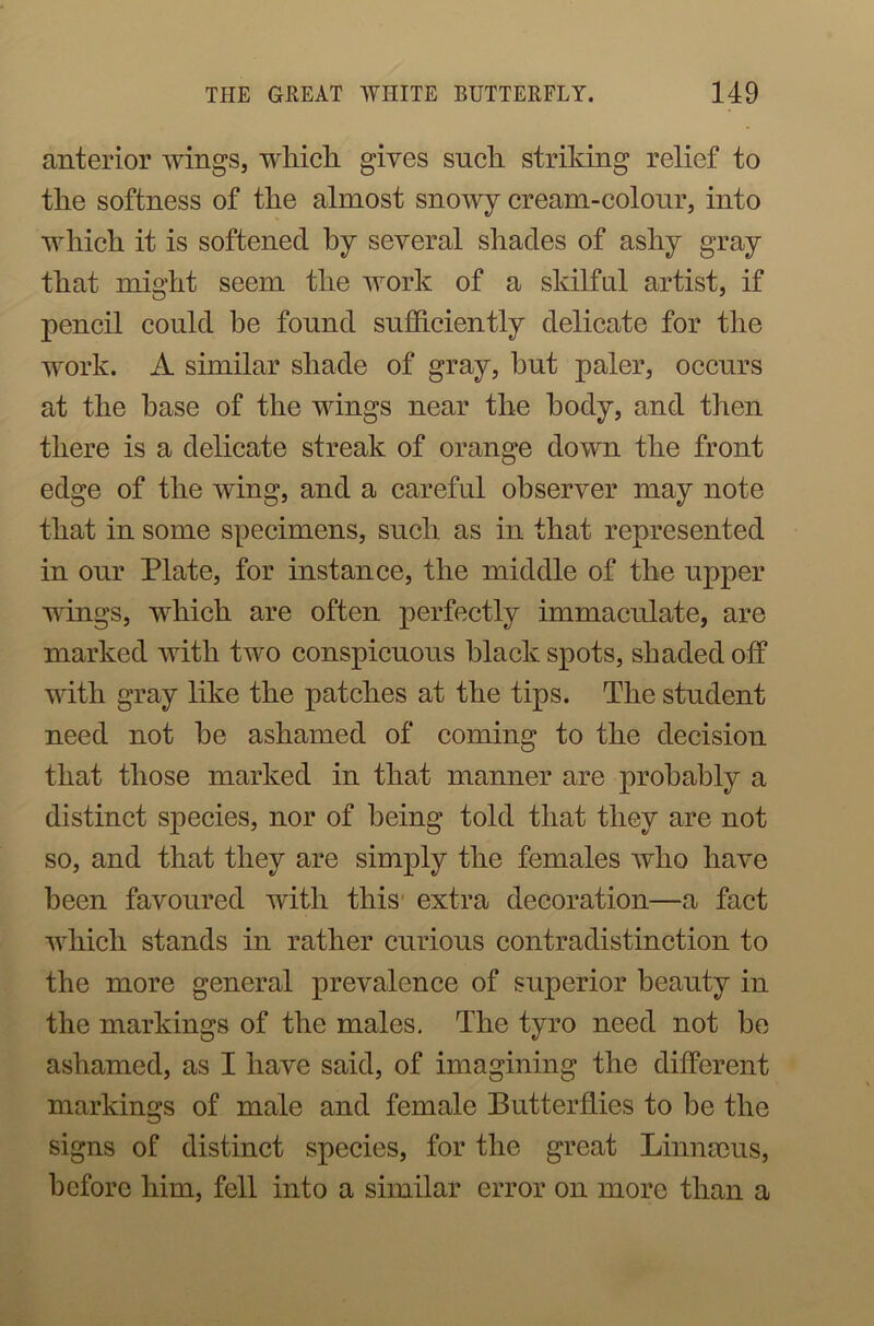 anterior wings, wliicli gives sncli striking relief to the softness of the almost snowy cream-colour, into wliicli it is softened by several shades of ashy gray that might seem the work of a skilful artist, if pencil could be found sufficiently delicate for the work. A similar shade of gray, but paler, occurs at the base of the wdngs near the body, and then there is a delicate streak of orange down the front edge of the wing, and a careful observer may note that in some specimens, such as in that represented in our Plate, for instance, the middle of the upper wings, which are often perfectly immaculate, are marked with two conspicuous black spots, shaded off with gray like the patches at the tips. The student need not be ashamed of coming to the decision that those marked in that manner are probably a distinct species, nor of being told that they are not so, and that they are simply the females who have been favoured with this' extra decoration—a fact which stands in rather curious contradistinction to the more general prevalence of superior beauty in the markings of the males. The tyro need not be ashamed, as I have said, of imagining the different markings of male and female Butterflies to be the signs of distinct species, for the great Linnaeus, before him, fell into a similar error on more than a
