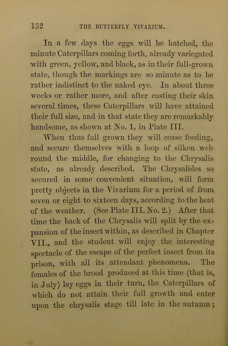 In a few days the eggs will be hatched, the minute Caterpillars coming forth, already variegated with green, yellow, and black, as in their full-grown state, though the markings are so minute as to be rather indistinct to the naked eye. In about three weeks or rather more, and after casting their skin several times, these Caterpillars will have attained their full size, and in that state they are remarkably handsome, as shown at No. 1, in Plate III. When thus full grown they will cease feeding, and secure themselves with a loop of silken web round the middle, for changing to the Chrysalis state, as already described. The Chrysalides so secured in some convenient situation, will form pretty objects in the Vivarium for a period of from seven or eight to sixteen days, according to the heat of the weather. (See Plate III. No. 2.) After that time the back of the Chrysalis will split by the ex- pansion of the insect within, as described in Chapter VII., and the student will enjoy the interesting spectacle of the escape of the perfect insect from its prison, with all its attendant phenomena. The females of the brood produced at this time (that is, in July) lay eggs in their turn, the Caterpillars of which do not attain their full growth and enter upon the chrysalis stage till late in the autumn;