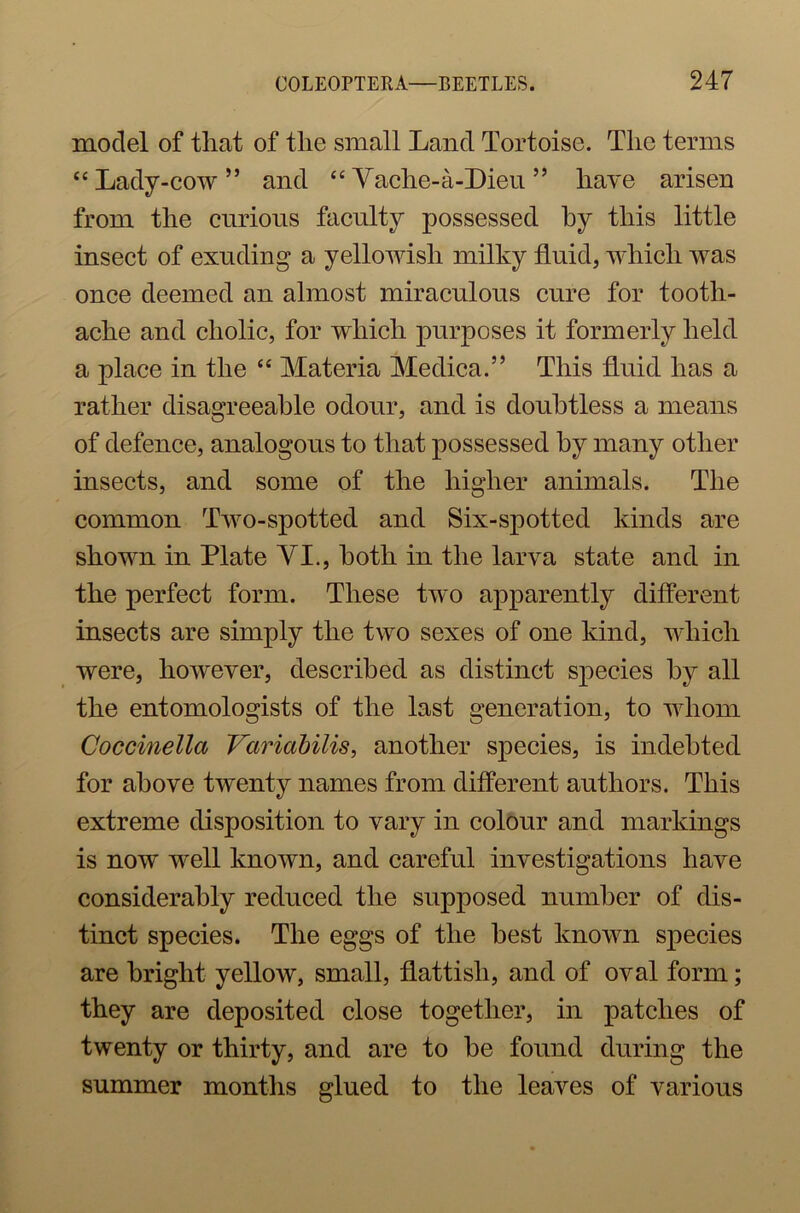 model of that of the small Land Tortoise. The terms “ Lady-cow” and “ Vache-a-Dieu ” have arisen from the curious faculty possessed by this little insect of exuding a yellowish milky fluid, which was once deemed an almost miraculous cure for tooth- ache and cholic, for which purposes it formerly held a place in the “ Materia Medica.” This fluid has a rather disagreeable odour, and is doubtless a means of defence, analogous to that possessed by many other insects, and some of the higher animals. The common Two-spotted and Six-spotted kinds are shown in Plate VI., both in the larva state and in the perfect form. These two apparently different insects are simply the two sexes of one kind, which were, however, described as distinct species by all the entomologists of the last generation, to whom Coccinella Variabilis, another species, is indebted for above twenty names from different authors. This extreme disposition to vary in colour and markings is now well known, and careful investigations have considerably reduced the supposed number of dis- tinct species. The eggs of the best known species are bright yellow, small, flattish, and of oval form; they are deposited close together, in patches of twenty or thirty, and are to be found during the summer months glued to the leaves of various