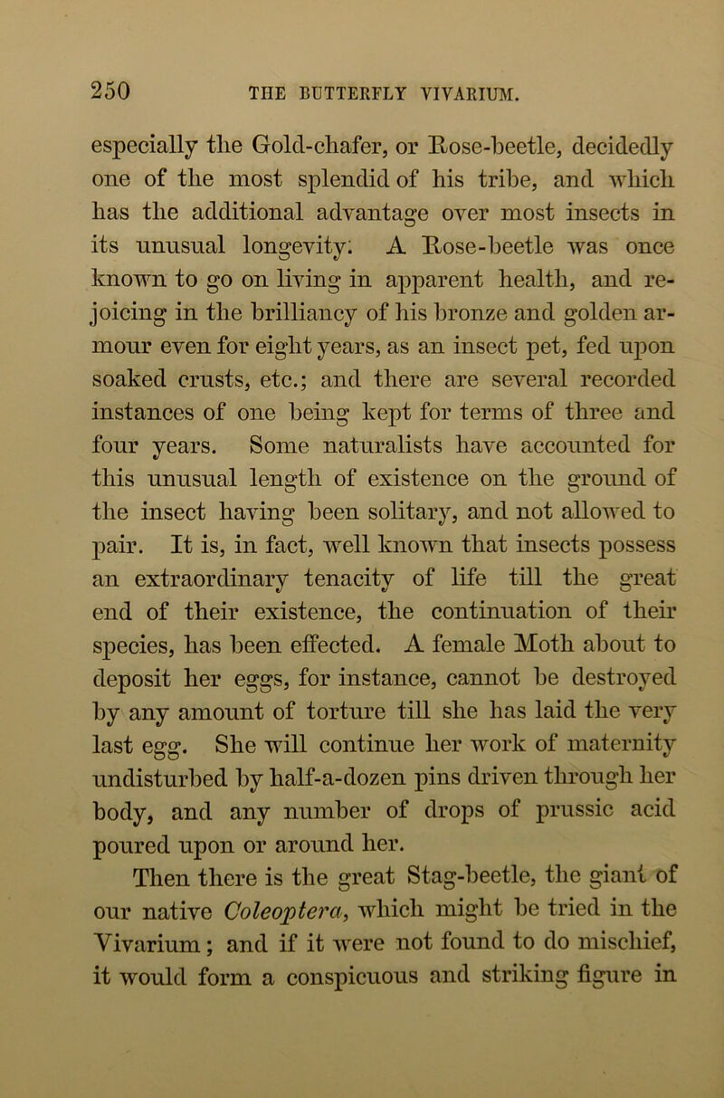 especially tlie Gold-chafer, or Hose-beetle, decidedly one of the most splendid of his tribe, and which has the additional advantage over most insects in its unusual longevity; A Hose-beetle was once known to go on living in apparent health, and re- joicing in the brilliancy of his bronze and golden ar- mour even for eight years, as an insect pet, fed upon soaked crusts, etc.; and there are several recorded instances of one being kept for terms of three and four years. Some naturalists have accounted for this unusual length of existence on the ground of the insect having been solitary, and not allowed to pair. It is, in fact, well known that insects possess an extraordinary tenacity of life till the great end of their existence, the continuation of their species, has been effected. A female Moth about to deposit her eggs, for instance, cannot he destroyed by any amount of torture till she has laid the very last egg. She will continue her work of maternity undisturbed by half-a-dozen pins driven through her body, and any number of drops of prussic acid poured upon or around her. Then there is the great Stag-beetle, the giant of our native Coleoptera, which might be tried in the Vivarium; and if it were not found to do mischief, it would form a conspicuous and striking figure in