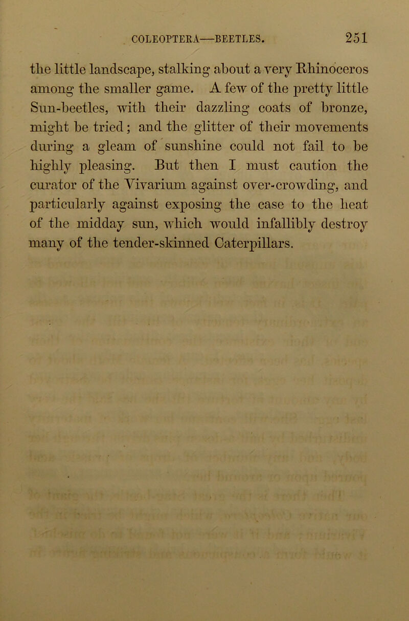the little landscape, stalking about a very Rhinoceros among the smaller game. A few of the pretty little Sun-beetles, with their dazzling coats of bronze, might be tried; and the glitter of their movements during a gleam of sunshine could not fail to he highly pleasing. But then I must caution the curator of the Vivarium against over-crowding, and particularly against exposing the case to the heat of the midday sun, which would infallibly destroy many of the tender-skinned Caterpillars.