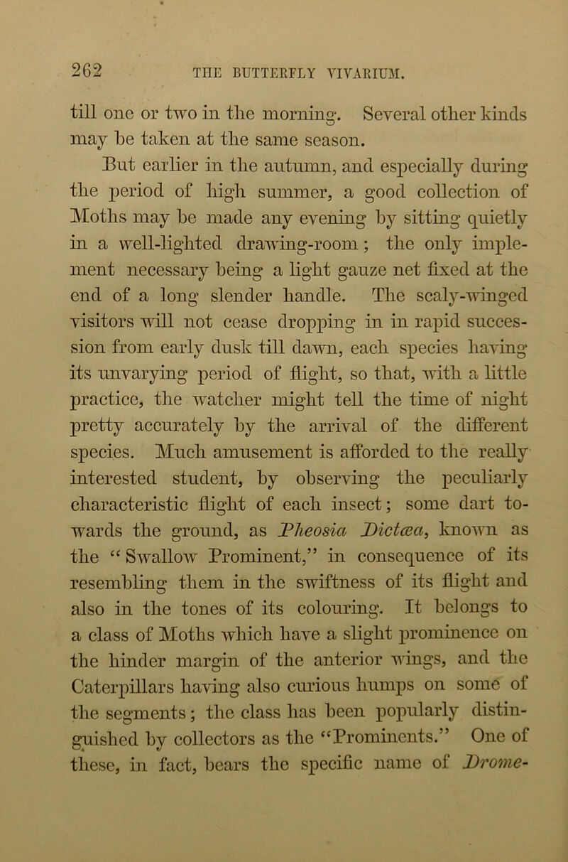 till one or two in the morning. Several other kinds may he taken at the same season. But earlier in the autumn, and especially during the period of high summer, a good collection of Moths may he made any evening by sitting quietly in a well-lighted drawing-room; the only imple- ment necessary being a light gauze net fixed at the end of a long slender handle. The scaly-winged visitors will not cease dropping in in rapid succes- sion from early dusk till dawn, each species having its unvarying period of flight, so that, with a little practice, the watcher might tell the time of night pretty accurately by the arrival of the different species. Much amusement is afforded to the really interested student, by observing the peculiarly characteristic flight of each insect; some dart to- wards the ground, as Dheosia Dictcea, known as the “ Swallow Prominent,” in consequence of its resembling them in the swiftness of its flight and also in the tones of its colouring. It belongs to a class of Moths which have a slight prominence on the hinder margin of the anterior wings, and the Caterpillars having also curious humps on some of the segments; the class has been popularly distin- guished by collectors as the “Prominents.” One of these, in fact, hears the specific name of Drome-