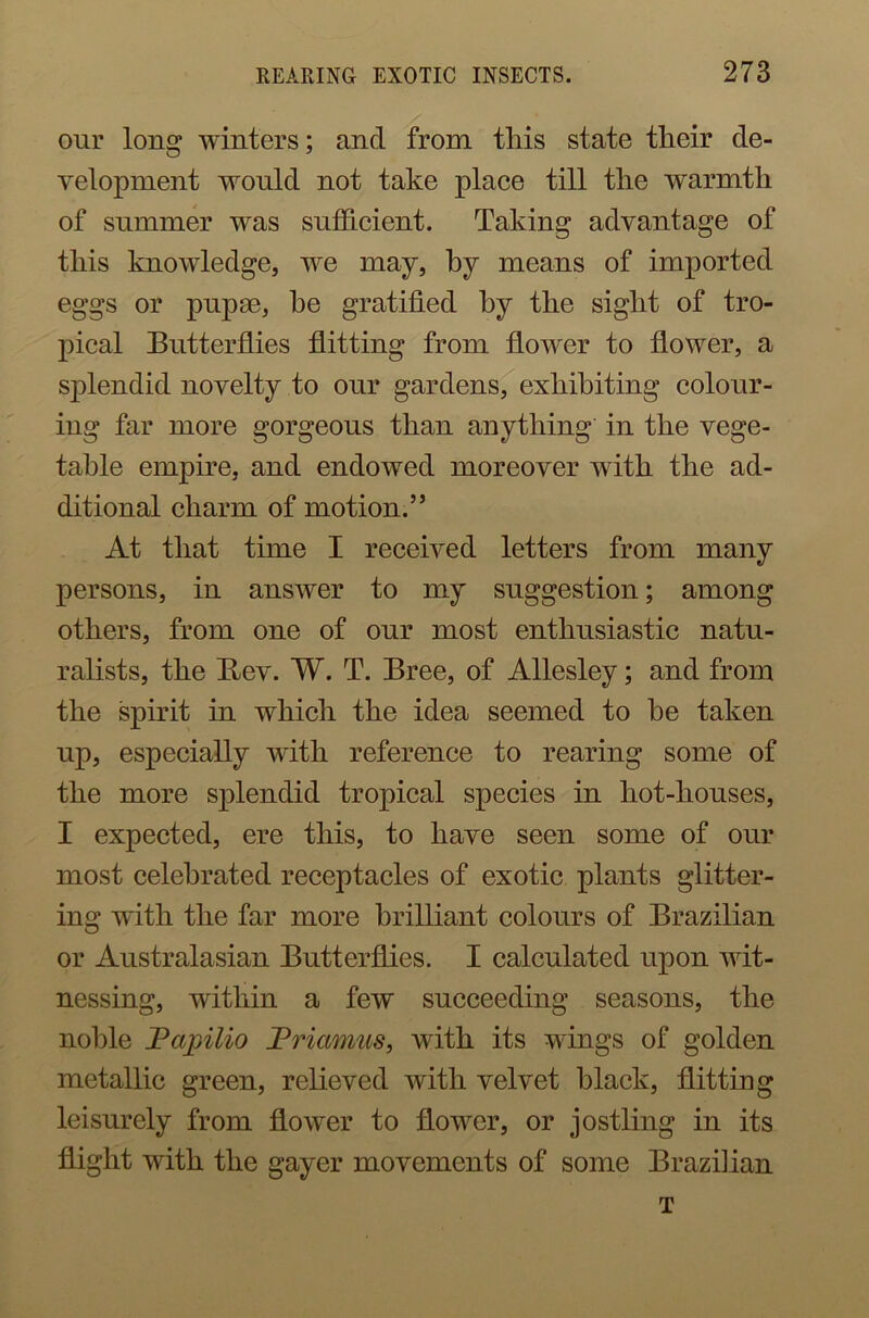 our long winters; and from tliis state their de- velopment would not take place till the warmth of summer was sufficient. Taking advantage of this knowledge, we may, by means of imported eggs or pupae, he gratified hy the sight of tro- pical Butterflies flitting from flower to flower, a splendid novelty to our gardens, exhibiting colour- ing far more gorgeous than anything in the vege- table empire, and endowed moreover with the ad- ditional charm of motion.” At that time I received letters from many persons, in answer to my suggestion; among others, from one of our most enthusiastic natu- ralists, the Bev. W. T. Bree, of Allesley; and from the spirit in which the idea seemed to he taken up, especially with reference to rearing some of the more splendid tropical species in hot-houses, I expected, ere this, to have seen some of our most celebrated receptacles of exotic plants glitter- ing with the far more brilliant colours of Brazilian or Australasian Butterflies. I calculated upon wit- nessing, within a few succeeding seasons, the noble JPapilio JPriamus, ivith its wings of golden metallic green, relieved with velvet black, flitting leisurely from flower to floAver, or jostling in its flight with the gayer movements of some Brazilian