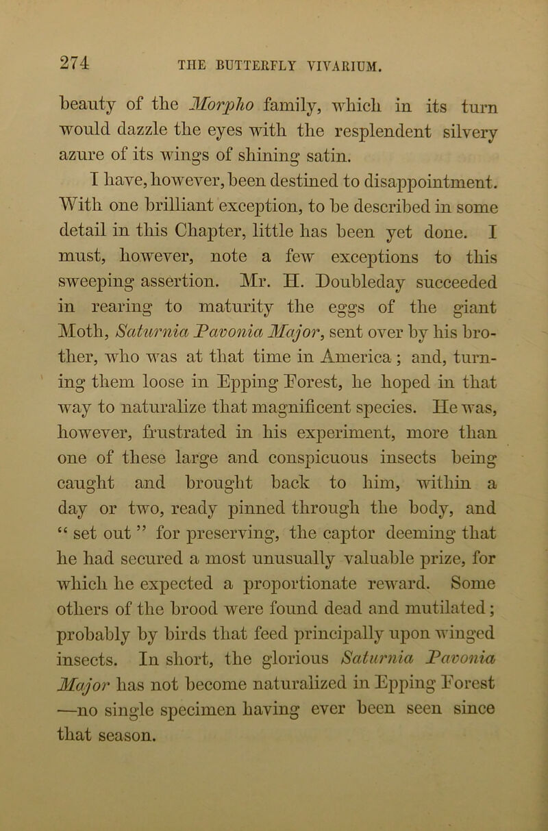 beauty of the Morpho family, which in its turn would dazzle the eyes with the resplendent silvery azure of its wings of shining satin. I have, however, been destined to disappointment. With one brilliant exception, to be described in some detail in this Chapter, little has been yet done. I must, however, note a few exceptions to this sweeping assertion. Mr. H. Doubleday succeeded in rearing to maturity the eggs of the giant Moth, Saturnia JPavonia Major, sent over by his bro- ther, who was at that time in America ; and, turn- ing them loose in Epping Eorest, he hoped in that way to naturalize that magnificent species. He was, however, frustrated in his experiment, more than one of these large and conspicuous insects being caught and brought back to him, within a day or two, ready pinned through the body, and “ set out ” for preserving, the captor deeming that he had secured a most unusually valuable prize, for which he expected a proportionate reward. Some others of the brood were found dead and mutilated; probably by birds that feed principally upon winged insects. In short, the glorious Saturnia Tavonia Major has not become naturalized in Epping Eorest —no single specimen having ever been seen since that season.