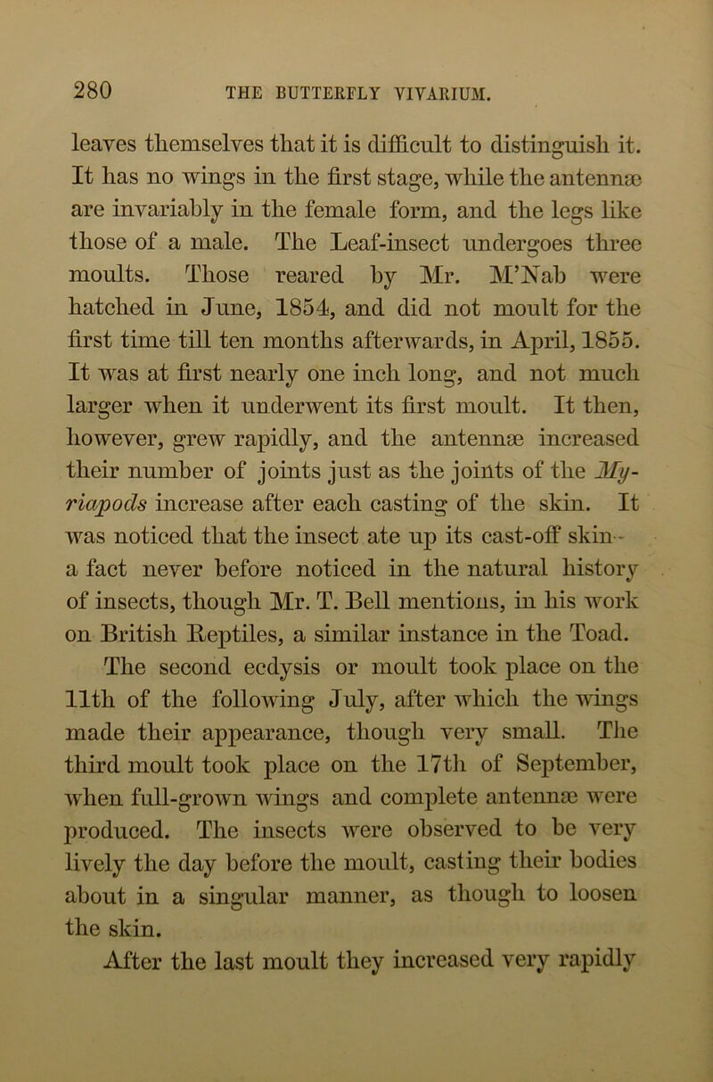 leaves themselves that it is difficult to distinguish it. It has no wings in the first stage, while the antenna} are invariably in the female form, and the legs like those of a male. The Leaf-insect undergoes three moults. Those reared hy Mr. M’Nah were hatched in June, 1854, and did not moult for the first time till ten months afterwards, in April, 1855. It was at first nearly one inch long, and not much larger when it underwent its first moult. It then, however, grew rapidly, and the antennae increased their number of joints just as the joints of the My- riapods increase after each casting of the skin. It was noticed that the insect ate up its cast-off skin - a fact never before noticed in the natural history of insects, though Mr. T. Bell mentions, in his work on British Beptiles, a similar instance in the Toad. The second ecdysis or moult took place on the lltli of the following July, after which the wings made their appearance, though very small. The third moult took place on the 17th of September, when full-grown wings and complete antenna} were produced. The insects were observed to he very lively the day before the moult, casting their bodies about in a singular manner, as though to loosen the skin. After the last moult they increased very rapidly