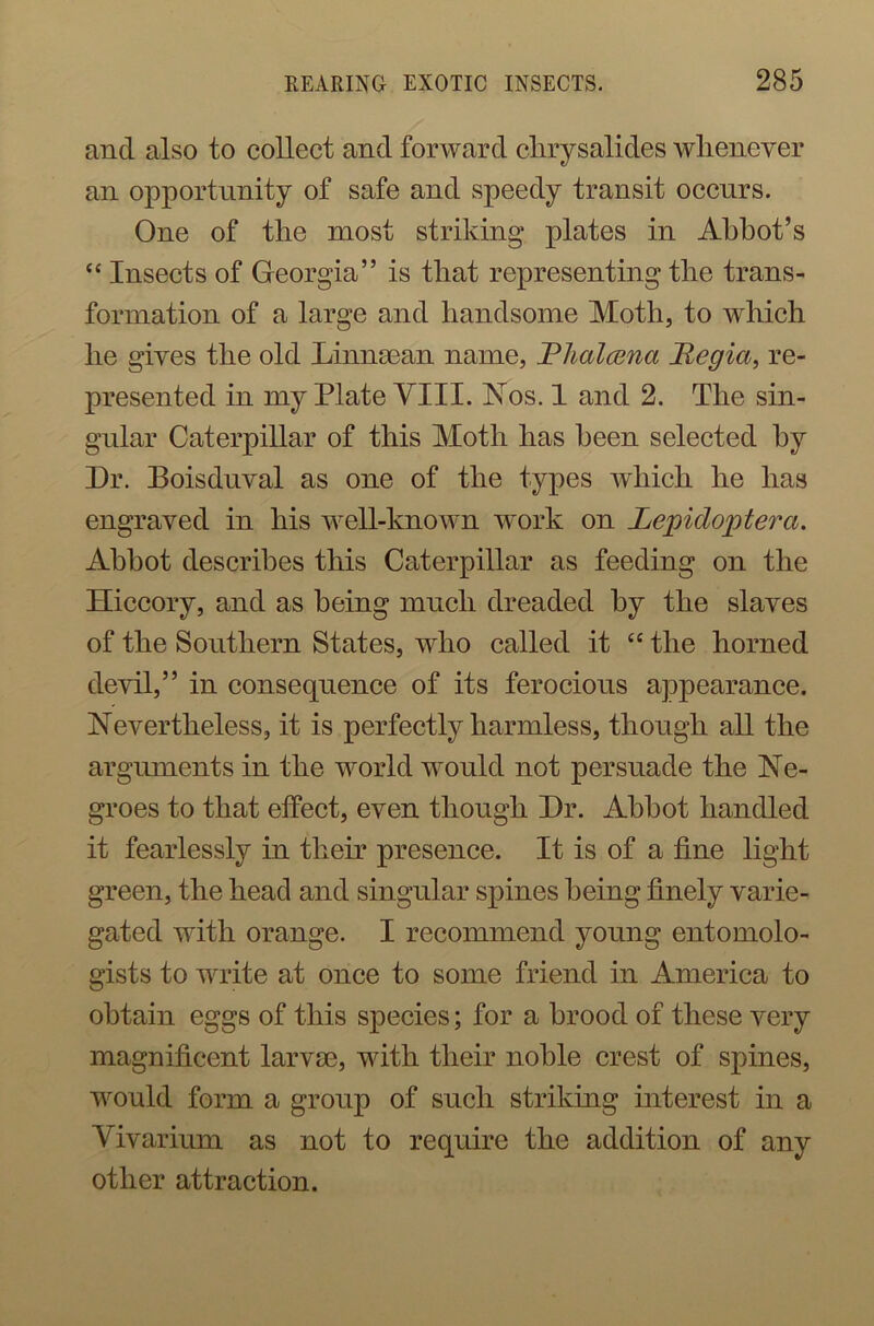 and also to collect and forward chrysalides whenever an opportunity of safe and speedy transit occurs. One of the most striking plates in Abbot’s “ Insects of Georgia” is that representing the trans- formation of a large and handsome Moth, to which he gives the old Linnaean name, Rlialcena Regia, re- presented in my Plate VIII. Nos. 1 and 2. The sin- gular Caterpillar of this Moth has been selected by Dr. Boisduval as one of the types which he has engraved in his well-known work on Lepidoptera. Abbot describes this Caterpillar as feeding on the Hiccory, and as being much dreaded by the slaves of the Southern States, who called it “ the horned devil,” in consequence of its ferocious appearance. Nevertheless, it is perfectly harmless, though all the arguments in the world would not persuade the Ne- groes to that effect, even though Dr. Abbot handled it fearlessly in their presence. It is of a fine light green, the head and singular spines being finely varie- gated with orange. I recommend young entomolo- gists to write at once to some friend in America to obtain eggs of this species; for a brood of these very magnificent larvae, with their noble crest of spines, would form a group of such striking interest in a Vivarium as not to require the addition of any other attraction.