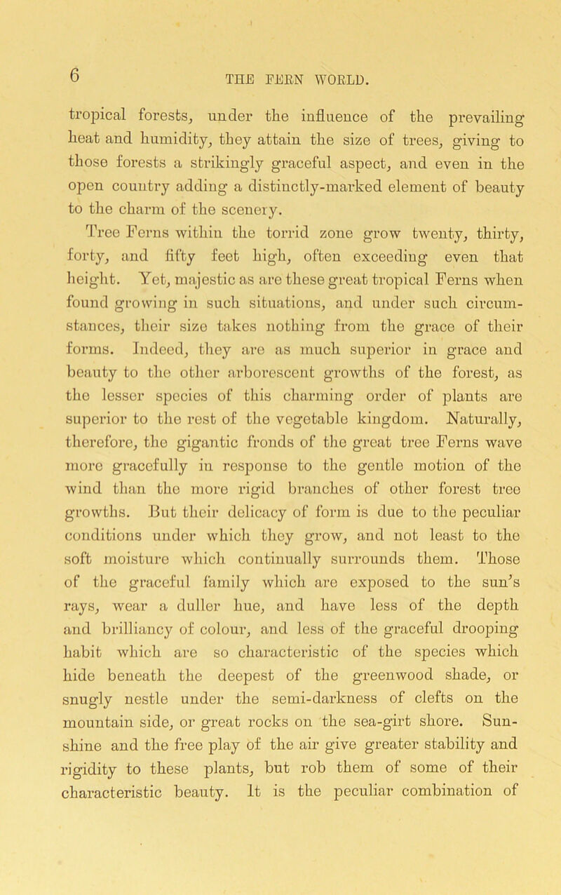 trojDical foi’estSj under the influence of the prevailing heat and humidity_, they attain the size of trees, giving to those forests a strikingly graceful aspect, and even in the open country adding a distinctly-mai’ked element of beauty to the charm of the scenery. '^I’ree Ferns within the torrid zone grow twenty, thirty, forty, and flfty feet high, often exceeding even that height. Yet, majestic as are these great tropical Ferns when found growing in such situations, and under such circum- stances, their size takes nothing from the grace of their forms. Indeed, they are as much superior in grace and beauty to the other arborescent growths of the forest, as the lesser species of this charming order of plants are superior to the rest of the vegetable kingdom. Naturally, therefore, the gigantic fronds of the great tree Ferns wave more gracefully iu response to the gentle motion of the wind than the more rigid branches of other forest tree growths. But their delicacy of form is due to the peculiar conditions under which they grow, and not least to the soft moisture which continually surrounds them. Those of the graceful family which are exposed to the sun’s rays, wear a duller hue, and have less of the depth and brilliancy of colour, and less of the graceful drooping habit which are so characteristic of the species which hide beneath the deepest of the greenwood shade, or snugly nestle under the semi-darkness of clefts on the mountain side, or great rocks on the sea-girt shore. Sun- shine and the free play of the air give greater stability and rigidity to these plants, but rob them of some of their characteristic beauty. It is the peculiar combination of