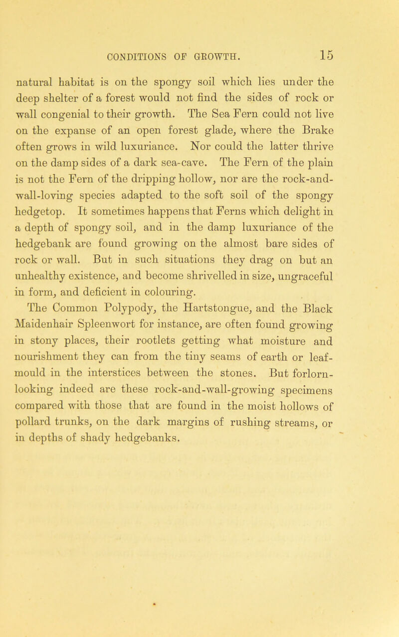natural habitat is on the spongy soil which lies under the deep shelter of a forest would not find the sides of rock or wall congenial to their growth. The Sea Fern could not live on the expanse of an open forest glade, where the Brake often grows in wild luxuriance. Nor could the latter thrive on the damp sides of a dark sea-cave. The Fern of the plain is not the Fern of the dripping hollow, nor are the rock-and- wall-loving species adapted to the soft soil of the spongy hedgetop. It sometimes happens that Ferns which delight in a depth of spongy soil, and in the damp luxuriance of the hedgebank are found growing on the almost bare sides of rock or wall. But in such situations they drag on but an unhealthy existence, and become shrivelled in size, ungraceful in form, and deficient in colouring. The Common Polypody, the Hartstongue, and the Black Maidenhair Spleenwort for instance, are often found growing in stony places, their rootlets getting what moisture and nourishment they can from the tiny seams of earth or leaf- mould in the interstices between the stones. But forlorn- looking indeed are these rock-and-wall-gvowing specimens compared with those that are found in the moist hollows of pollard trunks, on the dark margins of rushing streams, or in depths of shady hedgebanks.