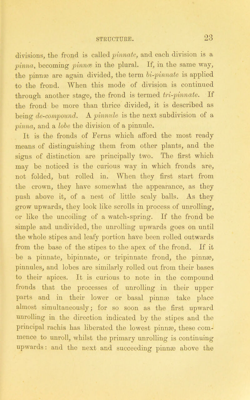 divisions, tlie frond is called pinnate, and eacli division is a pinna, becoming pinnce in the plural. If, in the same way, tbe pinn'cB are again divided, the term hi-pinnate is applied to the frond. When this mode of division is continued through another stage, the frond is termed tri-pinnate. If the frond be more than thrice divided, it is described as being de-compound. A pinnxde is the next subdivision of a pinna, and a lohe the division of a pinnule. It is the fronds of Ferns which afford the most I’eady means of distinguishing them from other plants, and the signs of distinction are principally two. The first which may be noticed is the curious way in which fronds are, not folded, but rolled in. When they first start from the crown, they have somewhat the appearance, as they push above it, of a nest of little scaly balls. As they grow upwards, they look like scrolls in process of unrolling, or like the uncoiling of a watch-spring. If the frond be simple and undivided, the unrolling upwards goes on until the whole stipes and leafy portion have been rolled outwards from the base of the stipes to the apex of the frond. If it be a pinnate, bipinnate, or tripinnate frond, the pinnae, pinnules, and lobes are similarly rolled out from their bases to their apices. It is curious to note in the compound fronds that the processes of unrolling in their upper parts and in their lower or basal pinnae take place almost simultaneously; for so soon as the first upward unrolling in the direction indicated by the stipes and the principal rachis has liberated the lowest pinnae, these com- mence to unroll, whilst the primary unrolling is continuing upwards: and the next and succeeding pinnm above the