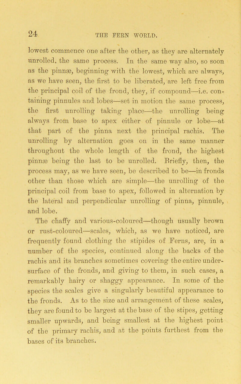 lowest commence one after the other, as they are alternately unrolled, the same process. In the same way also, so soon as the pinnfe, beginning with the lowest, which are always, as we have seen, the first to be liberated, are left free from the principal coil of the frond, they, if compound—i.e. con- taining pinnules and lobes—set in motion the same process, the first unrolling taking place—the unrolling being always from base to apex either of pinnule or lobe—at that part of the pinna next the principal mchis. The unrolling by alternation goes on in the same tnanner throughout the whole length of the frond, the highest pinnaa being the last to bo unrolled. Briefly, then, the process may, as we have seen, bo described to be—in fronds other than those which are simple—the unrolling of the principal coil from base to apex, followed in alternation by the lateral and perpendicular unrolling of pinna, pinnule, and lobe. The chaffy and various-coloured—though usually brown or rust-coloured—scales, which, as we have noticed, are frequently found clothing the stipides of Ferns, are, in a number of the species, continued along the backs of the rachis and its branches sometimes covering the entire under- surface of the fronds, and giving to them, in such cases, a remai’kably hairy or shaggy appeai’ance. In, some of the species the scales give a singularly beautiful appearance to the fronds. As to the size and arrangement of these scales, they are found to be largest at the base of the stipes, getting smaller upwards, and being smallest at the highest point of the primary rachis, and at the points furthest from the bases of its branches.