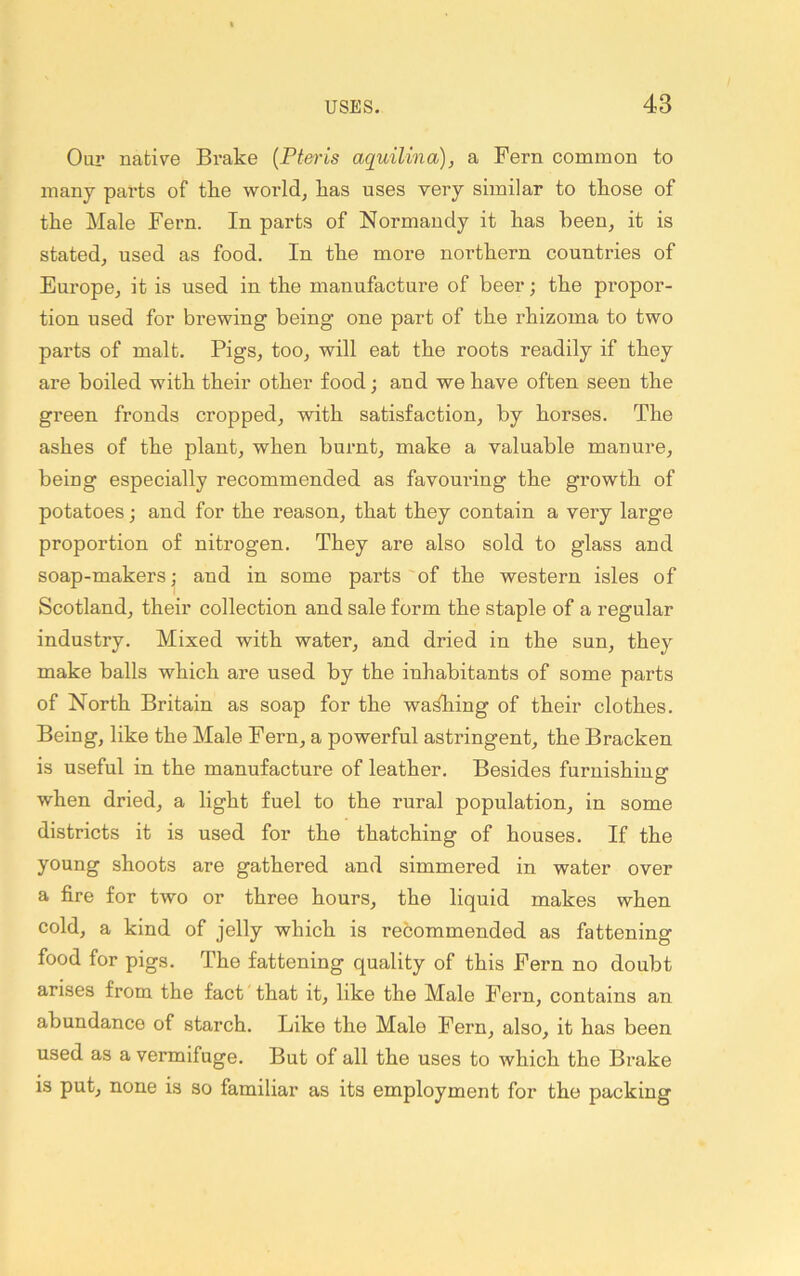 Our native Brake {Pteris aquilina), a Fern common to many parts of the worlds has uses very similar to those of the Male Fern. In parts of Normandy it has heen^ it is stated, used as food. In the more northern countries of Europe, it is used in the manufacture of beer; the propor- tion used for brewing being one part of the I’hizoma to two parts of malt. Pigs, too, will eat the roots readily if they are boiled with their other food; and we have often seen the green fronds cropped, with satisfaction, by horses. The ashes of the plant, when burnt, make a valuable manure, being especially recommended as favouring the growth of potatoes j and for the reason, that they contain a very large proportion of nitrogen. They are also sold to glass and soap-makers; and in some parts of the western isles of Scotland, their collection and sale form the staple of a regular industry. Mixed with water, and dried in the sun, they make balls which are used by the inhabitants of some parts of North Britain as soap for the wasliing of their clothes. Being, like the Male Fern, a powerful astringent, the Bracken is useful in the manufacture of leather. Besides furnishing when dried, a light fuel to the rural population, in some districts it is used for the thatching of houses. If the young shoots are gathered and simmered in water over a fire for two or three hours, the liquid makes when cold, a kind of jelly which is recommended as fattening food for pigs. The fattening quality of this Fern no doubt arises from the fact that it, like the Male Fern, contains an abundance of starch. Like the Male Fern, also, it has been used as a vermifuge. But of all the uses to which the Brake IS put, none is so familiar as its employment for the packing