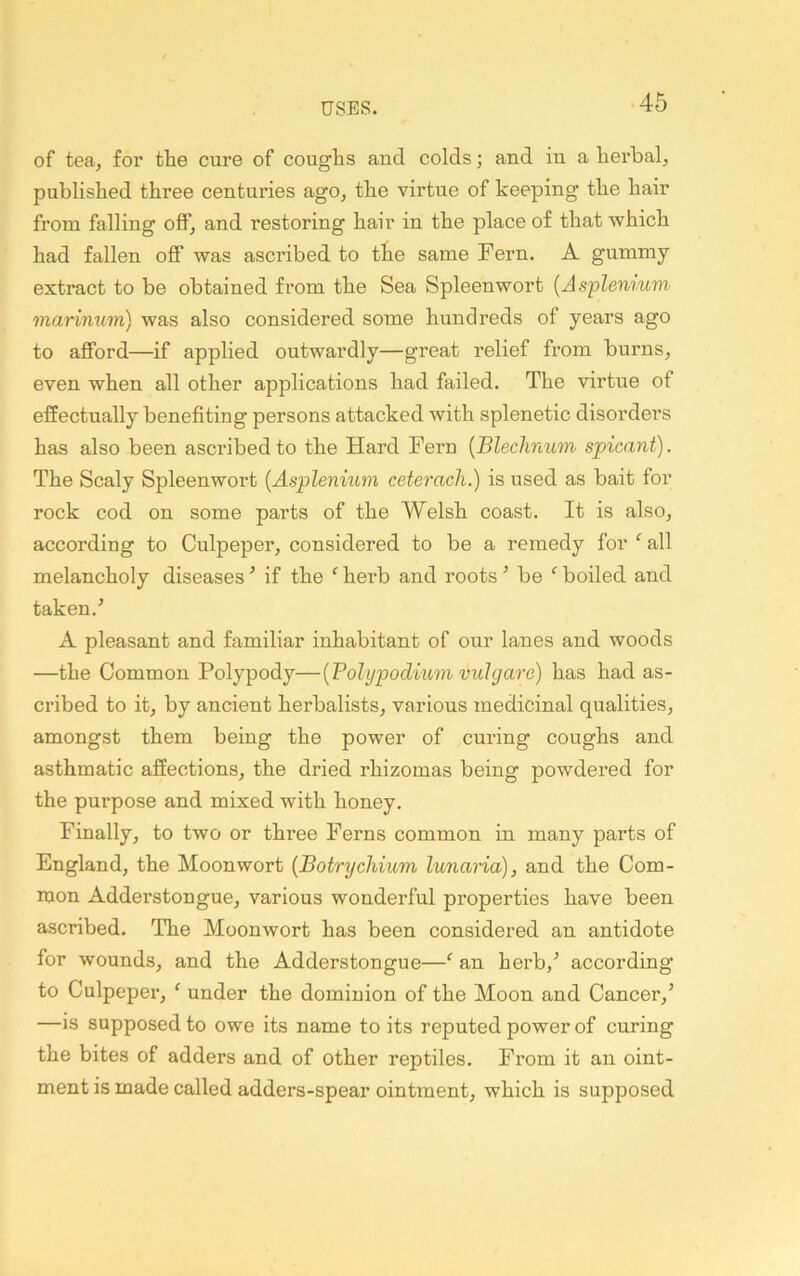 of tea, for the cure of coughs and colds; and in a herbal, published three centuries ago, the virtue of keeping the hair from falling off, and restoring hair in the place of that -which had fallen off was ascribed to the same Pern. A gummy extract to be obtained from the Sea Spleenwort {Asplenmvi- marinum) was also considered some hundreds of years ago to afford—if applied outwardly—great relief from burns, even when all other applications had failed. The virtue of effectually benefiting persons attacked with splenetic disorders has also been ascribed to the Hard Fern {Blechnum spicant). The Scaly Spleenwort {Asplenium ceterach.) is used as bait for rock cod on some parts of the Welsh coast. It is also, according to Culpeper, considered to be a remedy for ^ all melancholy diseases ^ if the ‘ herb and roots ’ be ‘ boiled and taken.^ A pleasant and familiar inhabitant of our lanes and woods —the Common Polypody—{Polypodium vulgare) has had as- cribed to it, by ancient herbalists, various medicinal qualities, amongst them being the power of curing coughs and asthmatic affections, the dried rhizomas being powdered for the purpose and mixed with honey. Finally, to two or three Ferns common in many parts of England, the Moonwort {Botrychium lunaria), and the Com- mon Adderstongue, various wonderful properties have been ascribed. The Moonwort has been considered an antidote for wounds, and the Adderstongue—‘ an herb,’ according to Culpeper, ‘ under the dominion of the Moon and Cancer,’ —is supposed to owe its name to its reputed power of curing the bites of adders and of other reptiles. From it an oint- ment is made called adders-spear ointment, which is supposed