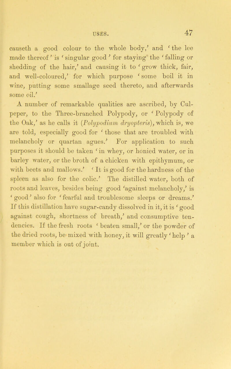 causeth a good colour to the whole body/ and ‘ the lee made thereof ’ is ‘ singular good ^ for staying the ‘ falling or shedding of the hair/ and causing it to *’ grow thick, fair, and well-coloured,^ for which purpose 'some boil it in wine, putting some smallage seed thereto, and afterwards some oil.^ A number of remarkable qualities are ascribed, by Cul- peper, to the Three-branched Polypody, or ' Polypody of the Oak,’ as he calls it {Polypodiwm dryopteris), which is, we are told, especially good for ‘ those that are troubled with melancholy or quartan agues.’ For application to such purposes it should be taken ' in whey, or honied water, or in barley water, or the broth of a chicken with epithymum, or with beets and mallows.’ ' It is good for the hardness of the spleen as also for the colic.’ The distilled water, both of roots and leaves, besides being good 'against melancholy,’ is ‘ good ’ also for ' fearful and troublesome sleeps or dreams.’ If this distillation have sugar-candy dissolved in it, it is ' good against cough, shortness of breath,’ and consumptive ten- dencies. If the fresh roots ' beaten small,’ or the powder of the dried roots, be'mixed with honey, it will greatly 'help ’ a member which is out of joint.